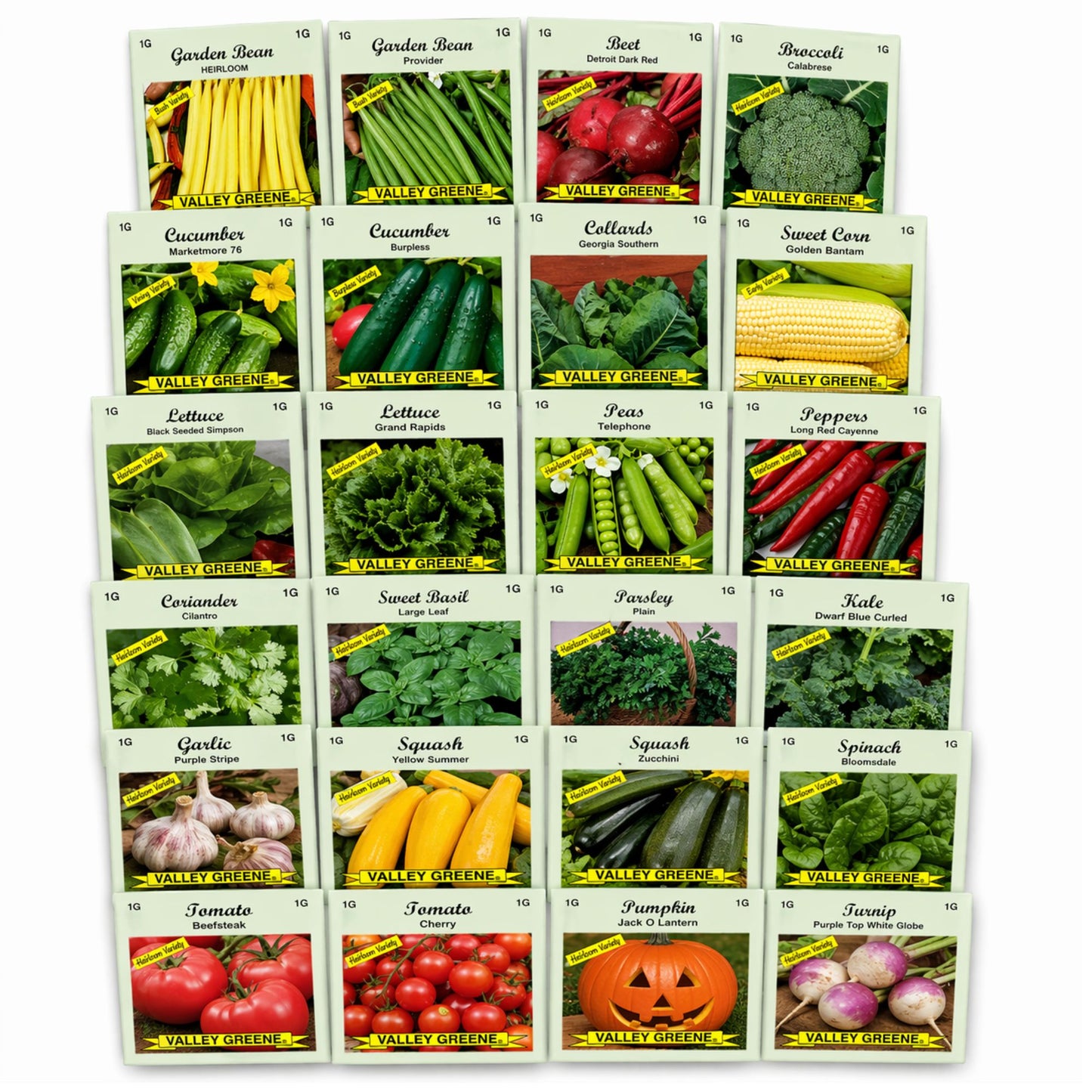 Floor Display Including 1200 Pc Assorted Vegetable, Herb & Flower Seeds by Valley Greene Seeds Edible Plant Seeds lifestyle