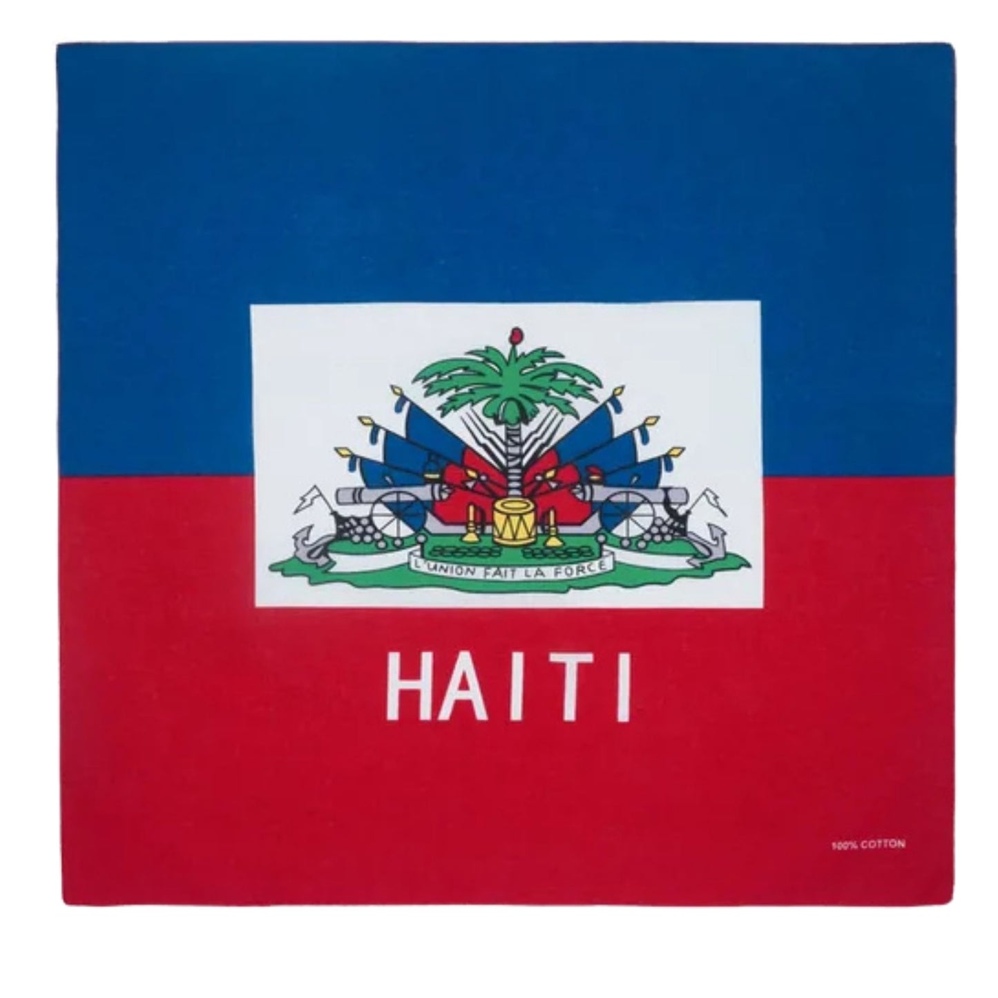 Haitian flag with coat of arms and 'HAITI' text on a blue and red background