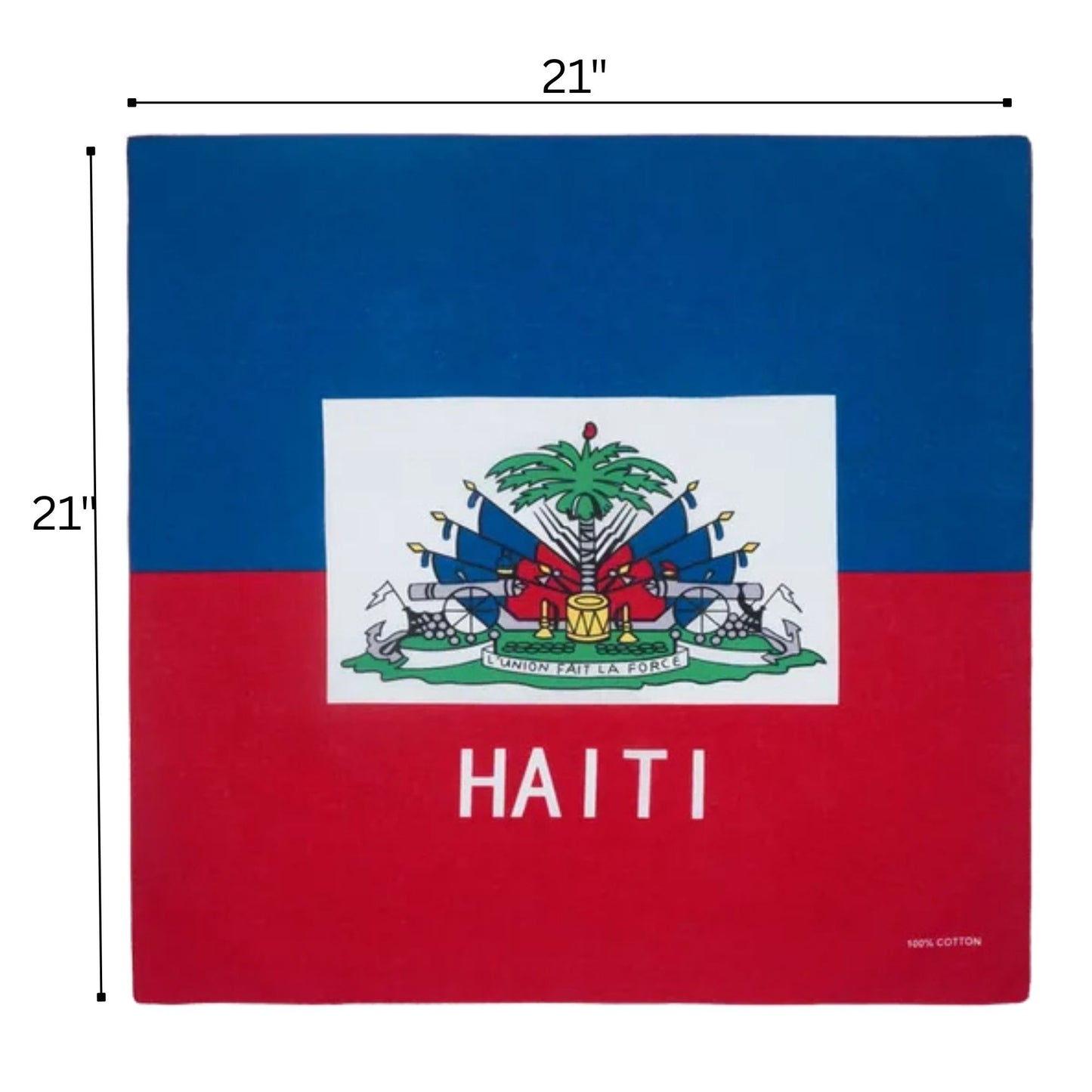 Haitian flag with dimensions on a white background