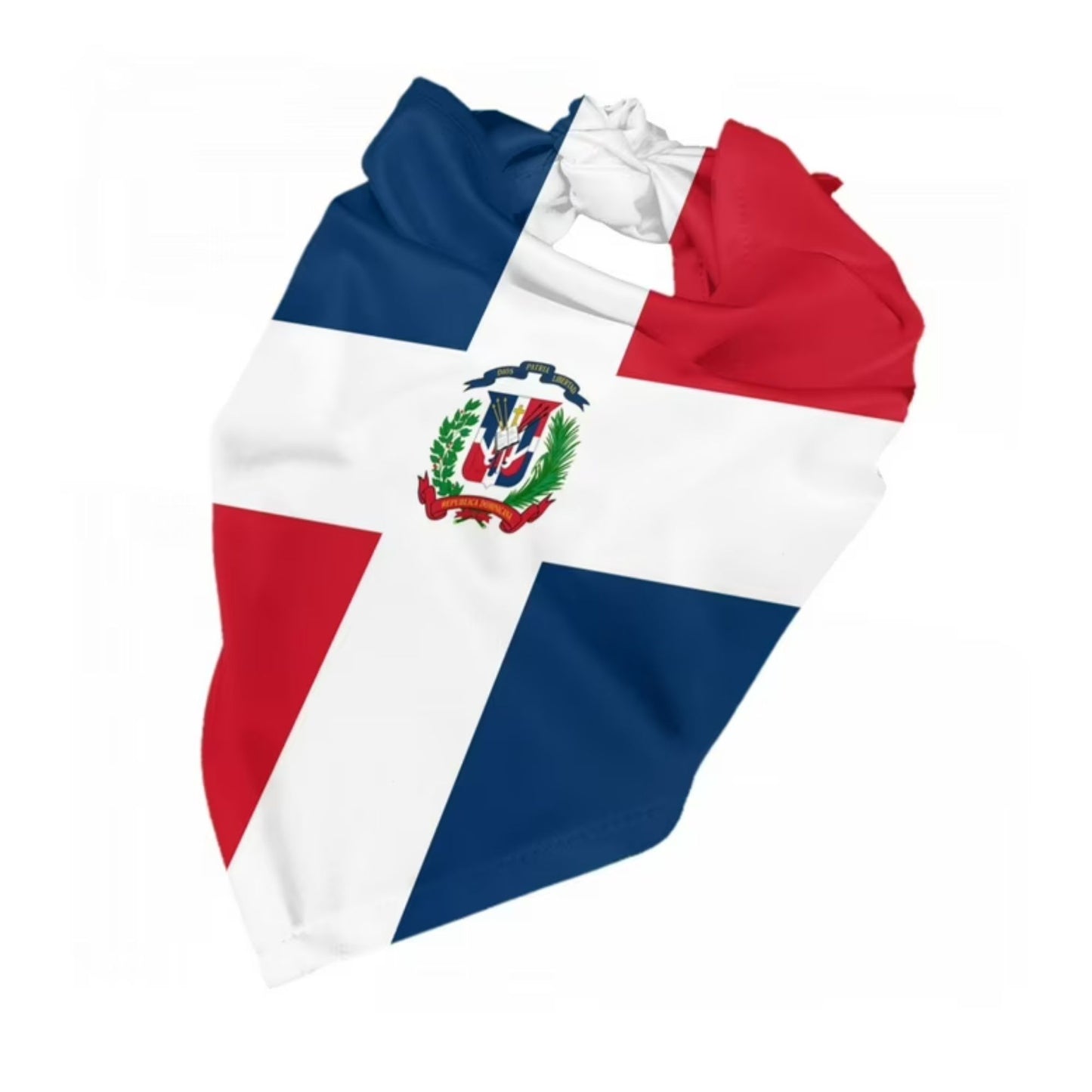 Hoodie with the Dominican Republic flag design on a white background