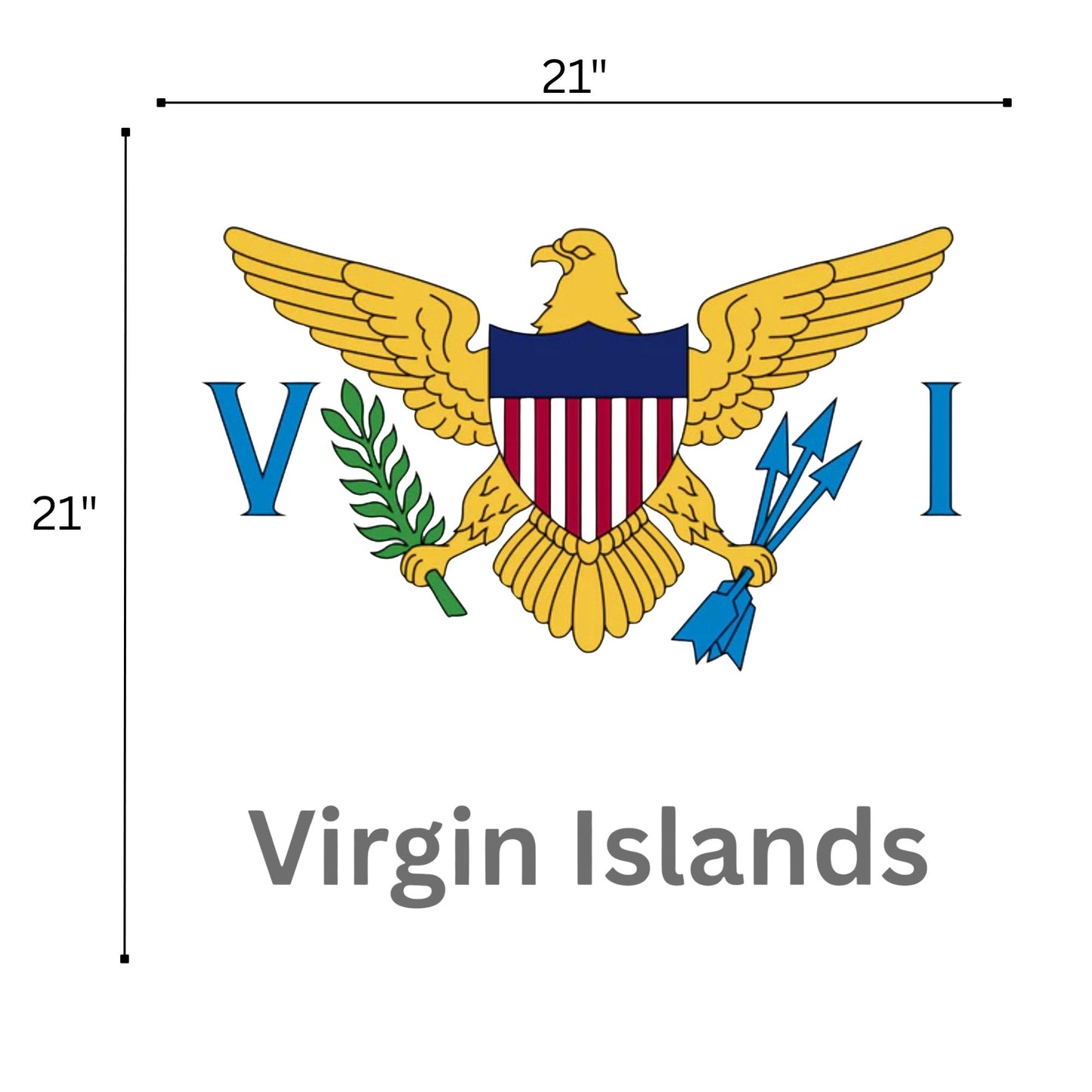 Flag of the United States Virgin Islands with dimensions and 'Virgin Islands' text on a white background