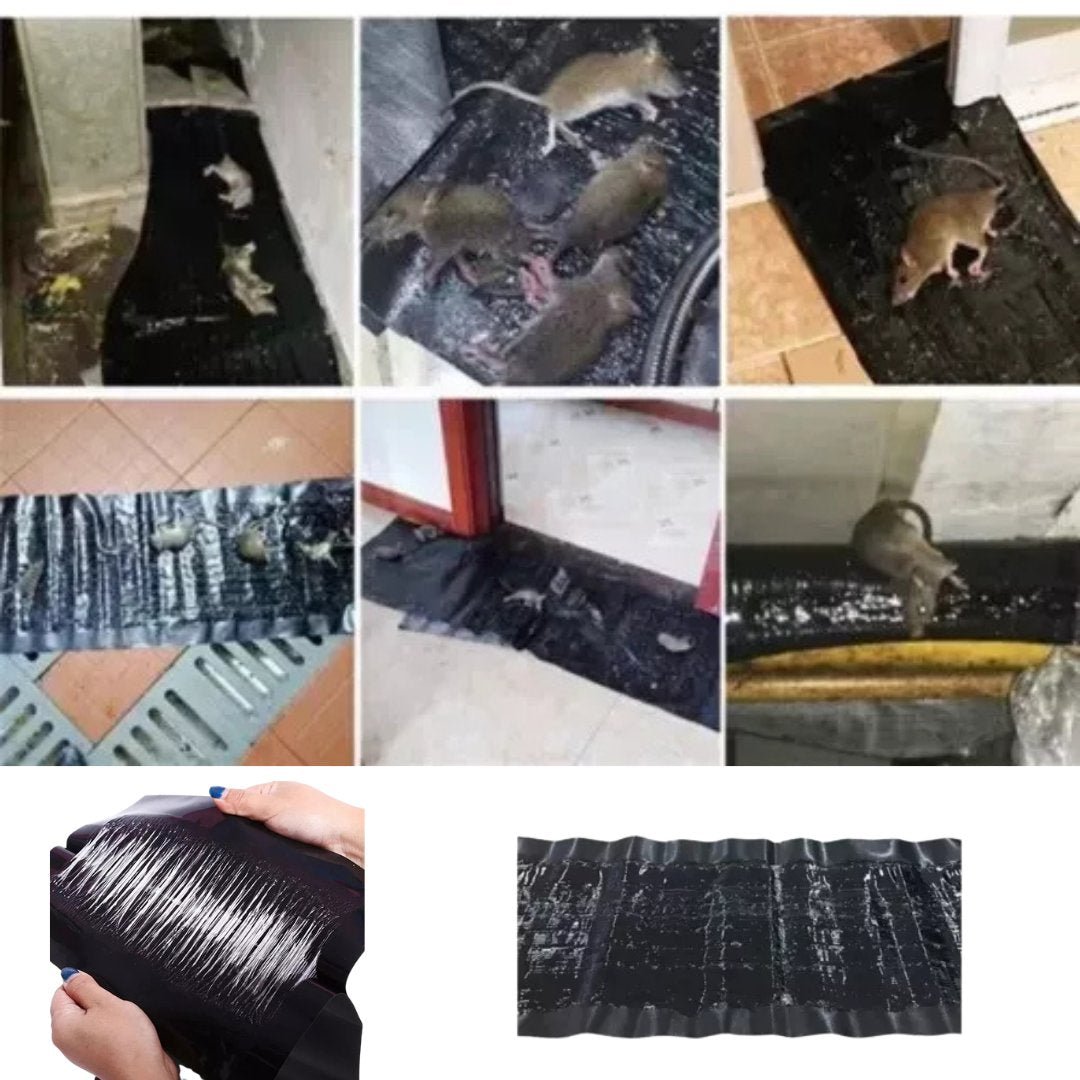 Blue Touch Strong Rats & Insects Glue 2 Traps Glue Traps Pest size and feature image