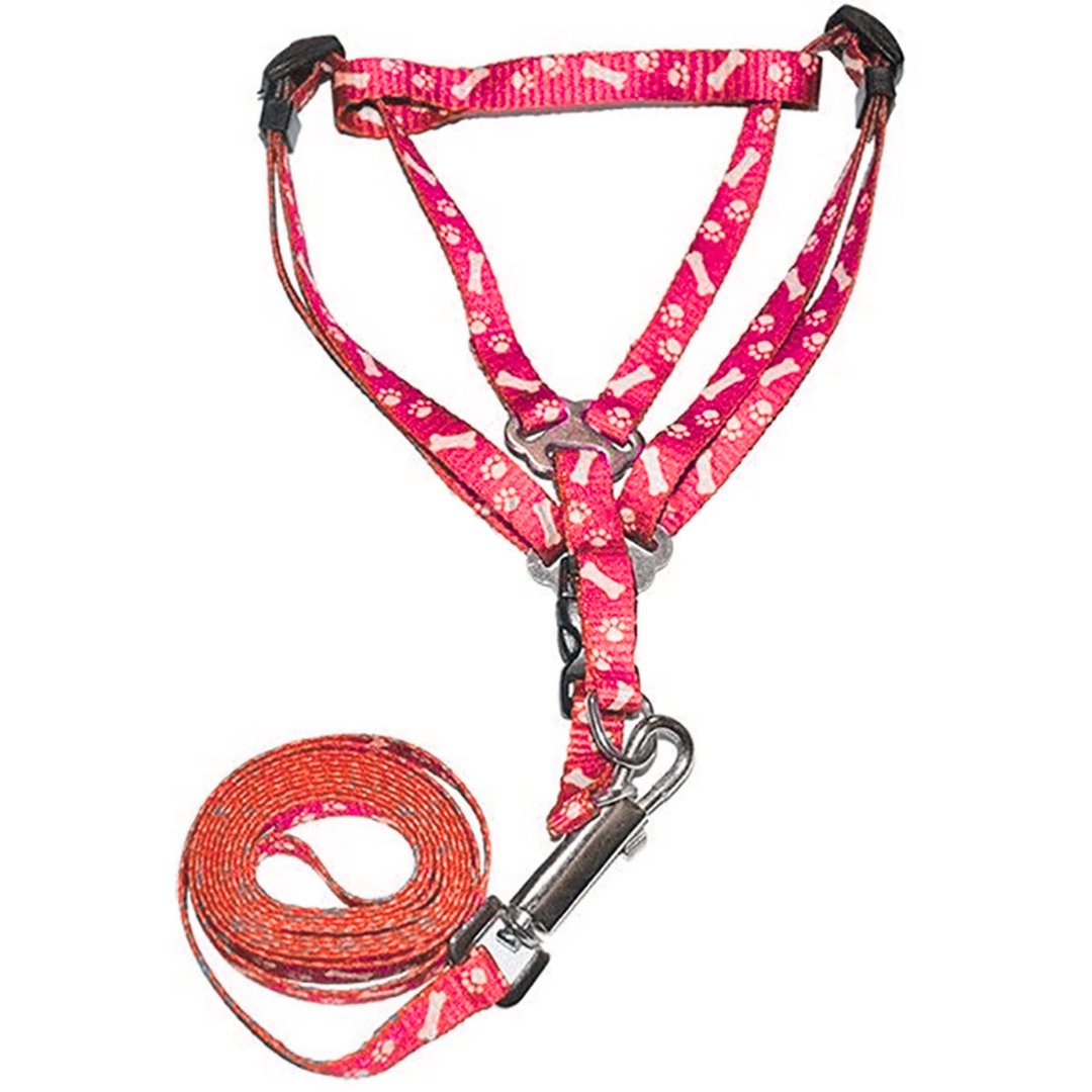 Bone Paw Printing Dog Harness with Leash for Puppies, Dogs & Cats