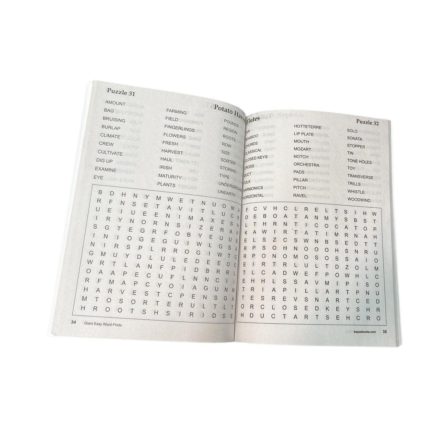 Braintainment Giant Easy Word Finds – We Know You Are a Puzzle Lover