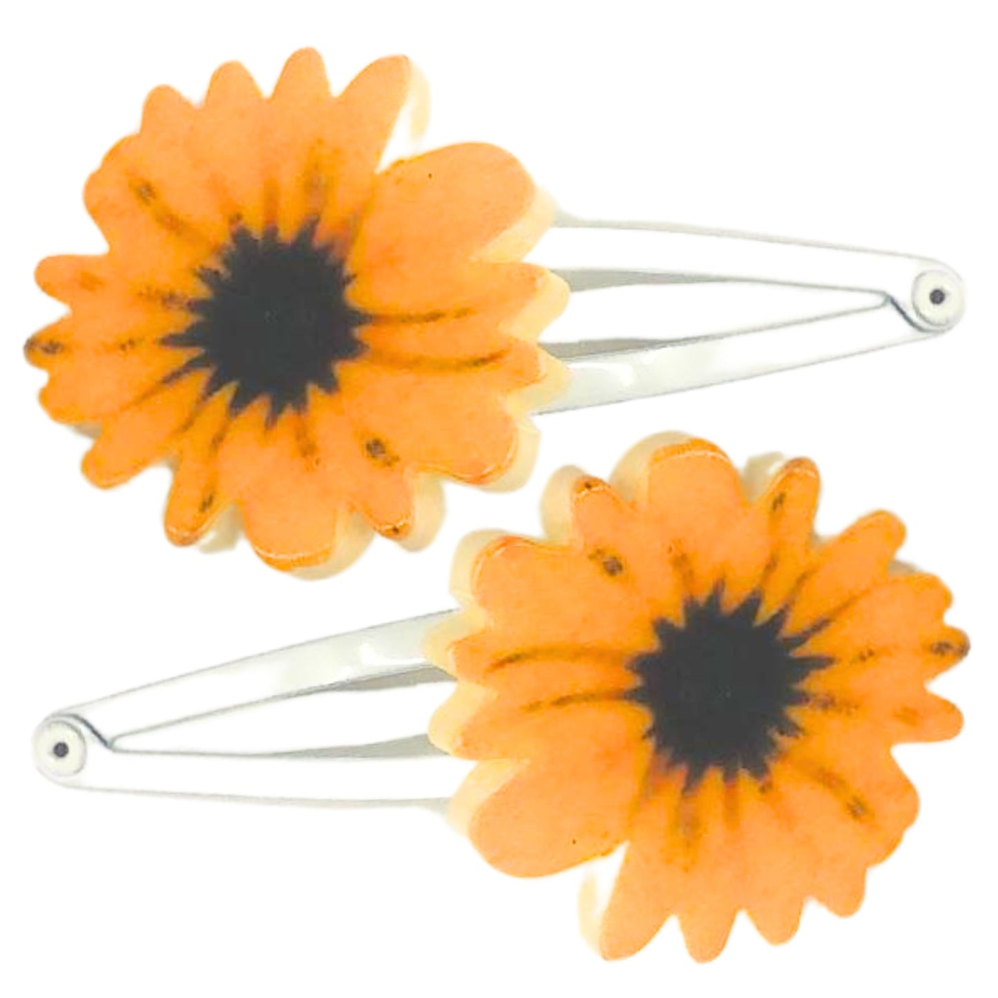 Pair Of Hair Clips
