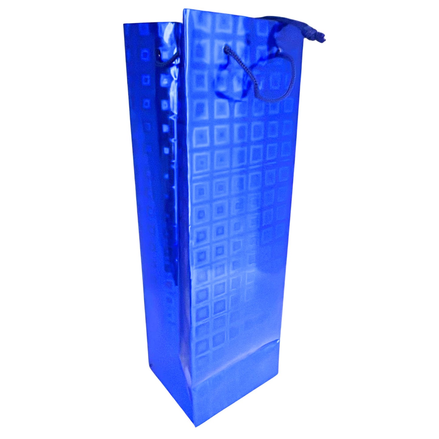 Large Foil & Holographic Gift Bags