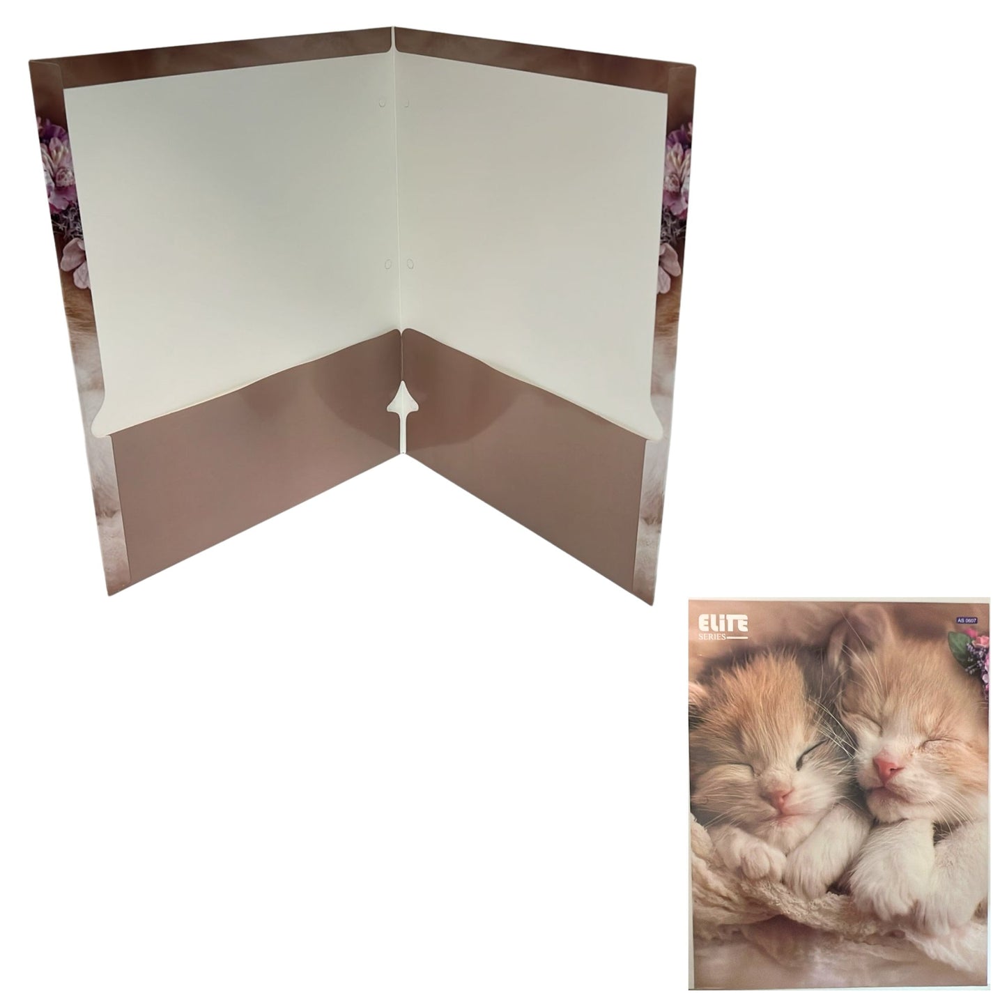 Pocket File Folders with Animal Prints