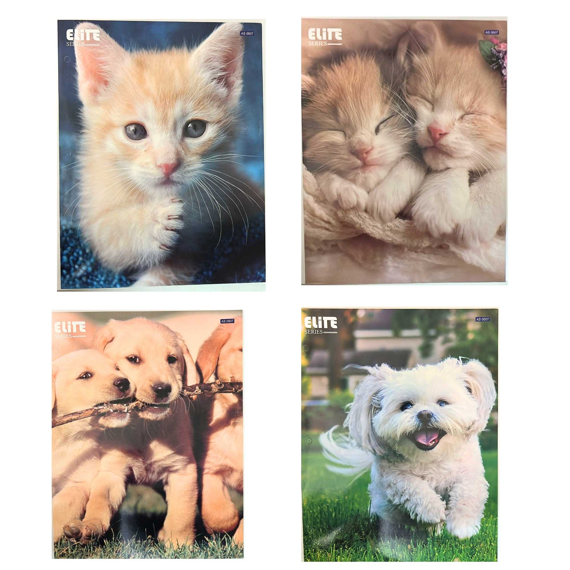 12"x9" Pocket File Folders with Animal Prints: