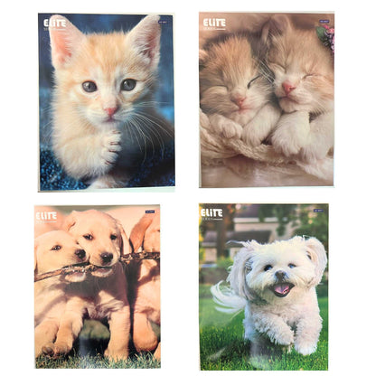 12"x9" Pocket File Folders with Animal Prints: