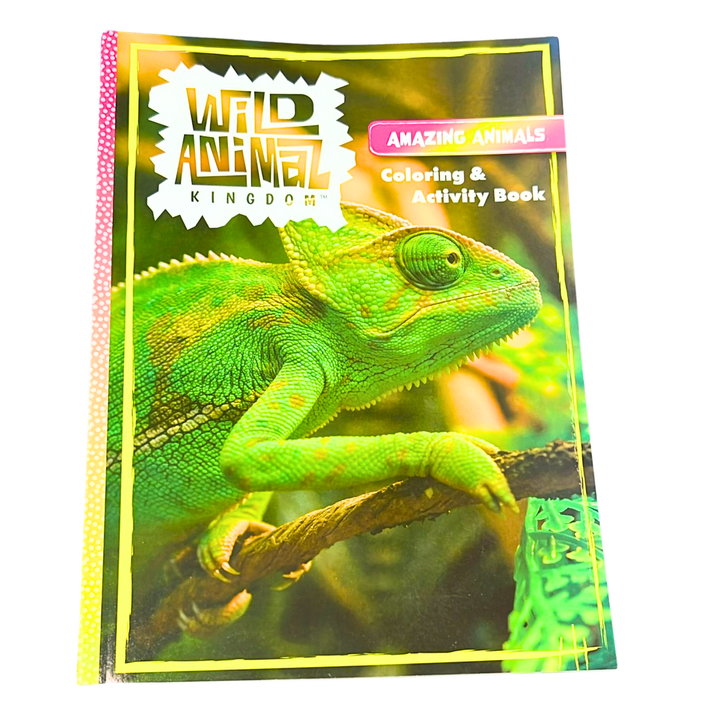 99¢ - Wild Animal Kingdom Coloring & Activity Book – Kids Ages 4 to 8 Fun Learning Adventure Book: 1CT