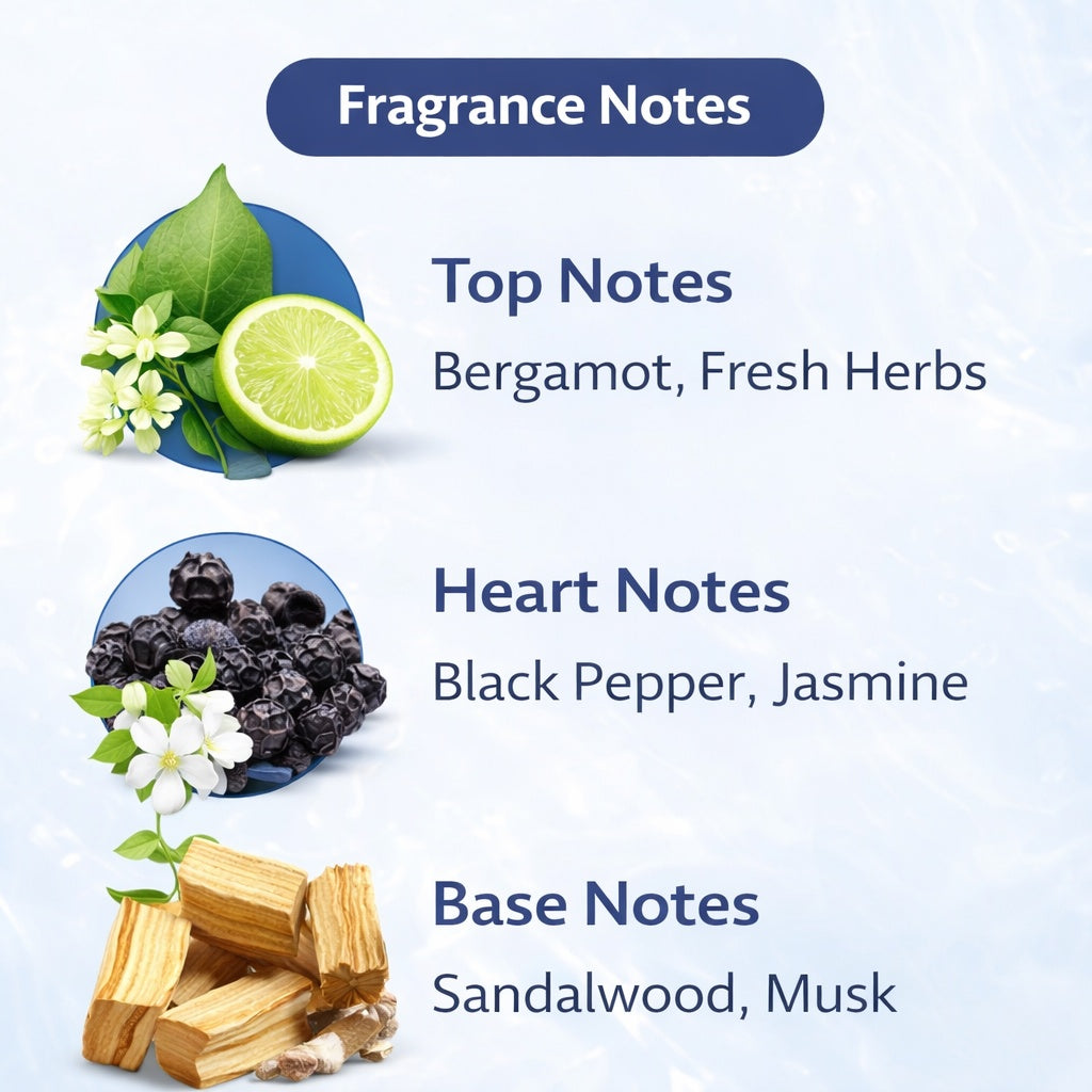 Diagram of fragrance notes with bergamot, fresh herbs, black pepper, jasmine, sandalwood, and musk on a light blue background.