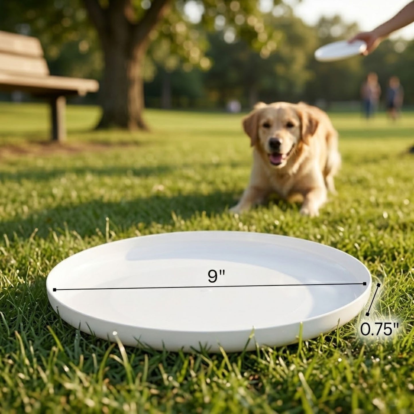 9" Diameter Premium Indoor & Outdoor Flying Disc Frisbee product image 8