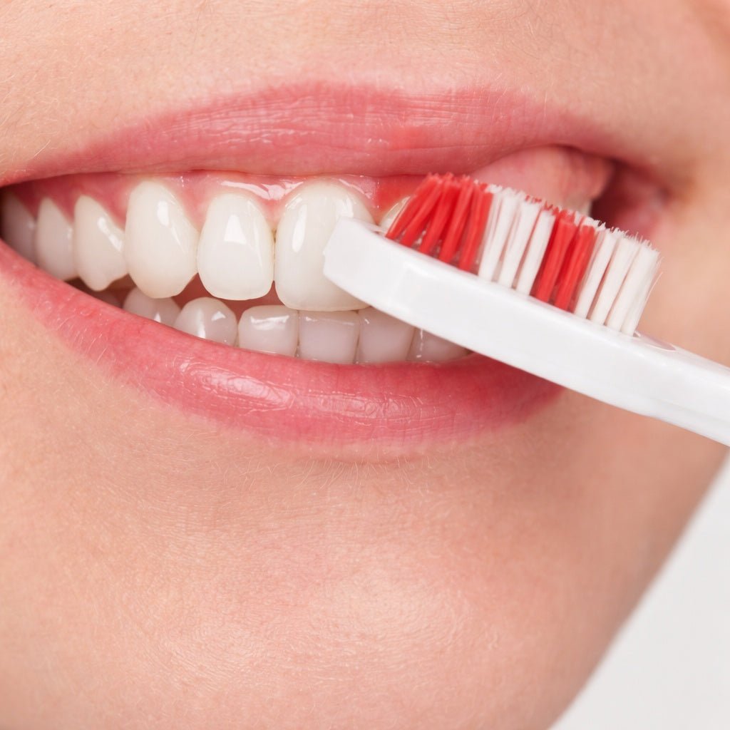 Oral Fusion Dental Care Kit 4PK Medium size and feature image