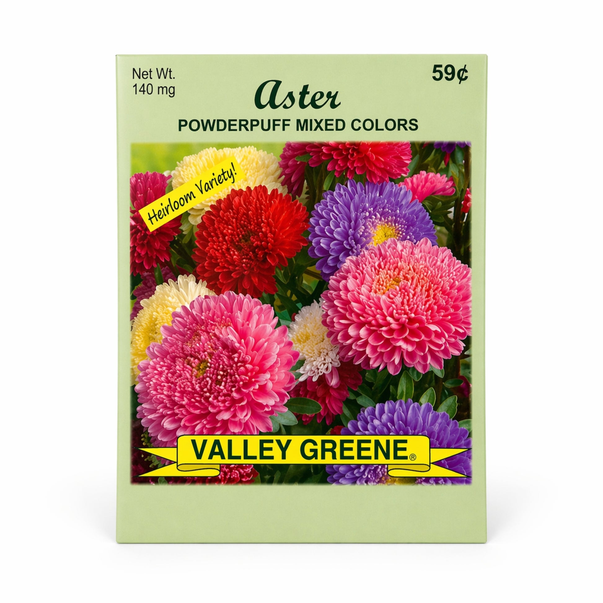 140mg Aster Powderpuff Seeds Heirloom Easy Grow Flowers