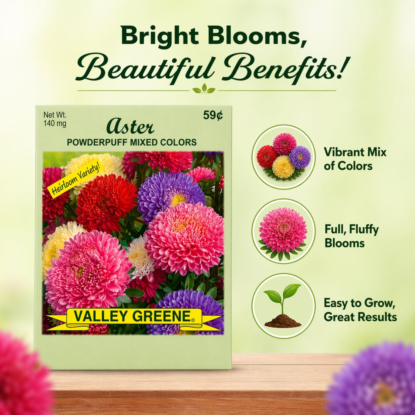 Aster Powderpuff 140mg Heirloom Seeds Easy Grow Flowers