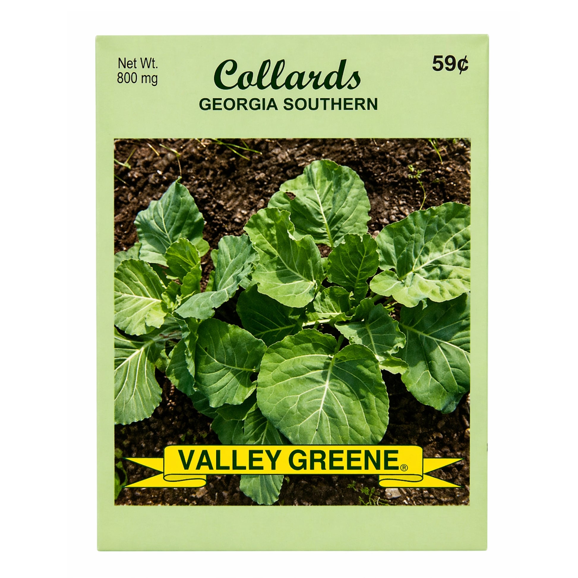 800mg Georgia Southern Collard Greens Heirloom Seed Pack