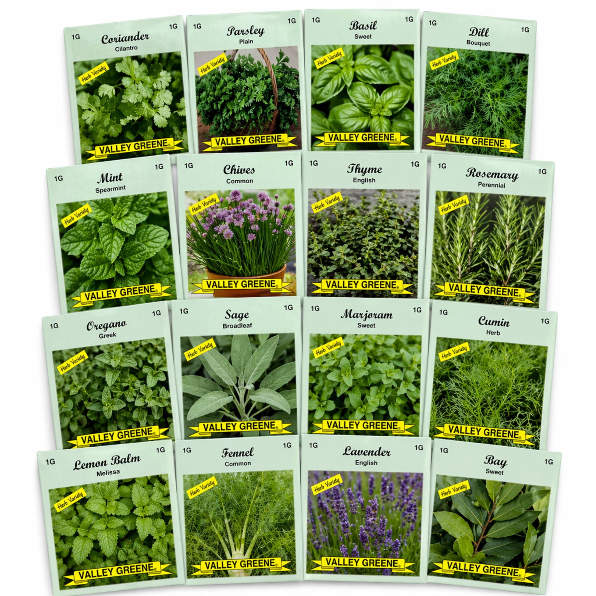 Floor Display Including 1200 Pc Assorted Vegetable, Herb & Flower Seeds by Valley Greene Seeds Edible Plant Seeds product