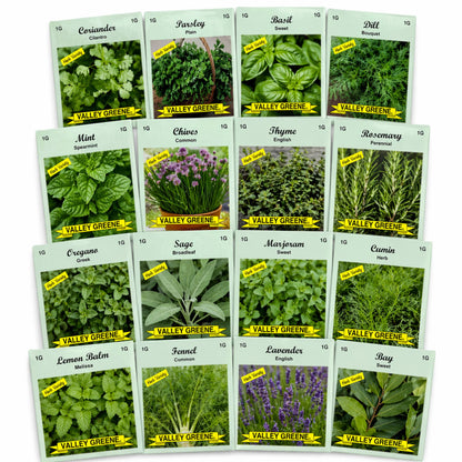 Floor Display Including 1200 Pc Assorted Vegetable, Herb & Flower Seeds by Valley Greene Seeds Edible Plant Seeds product