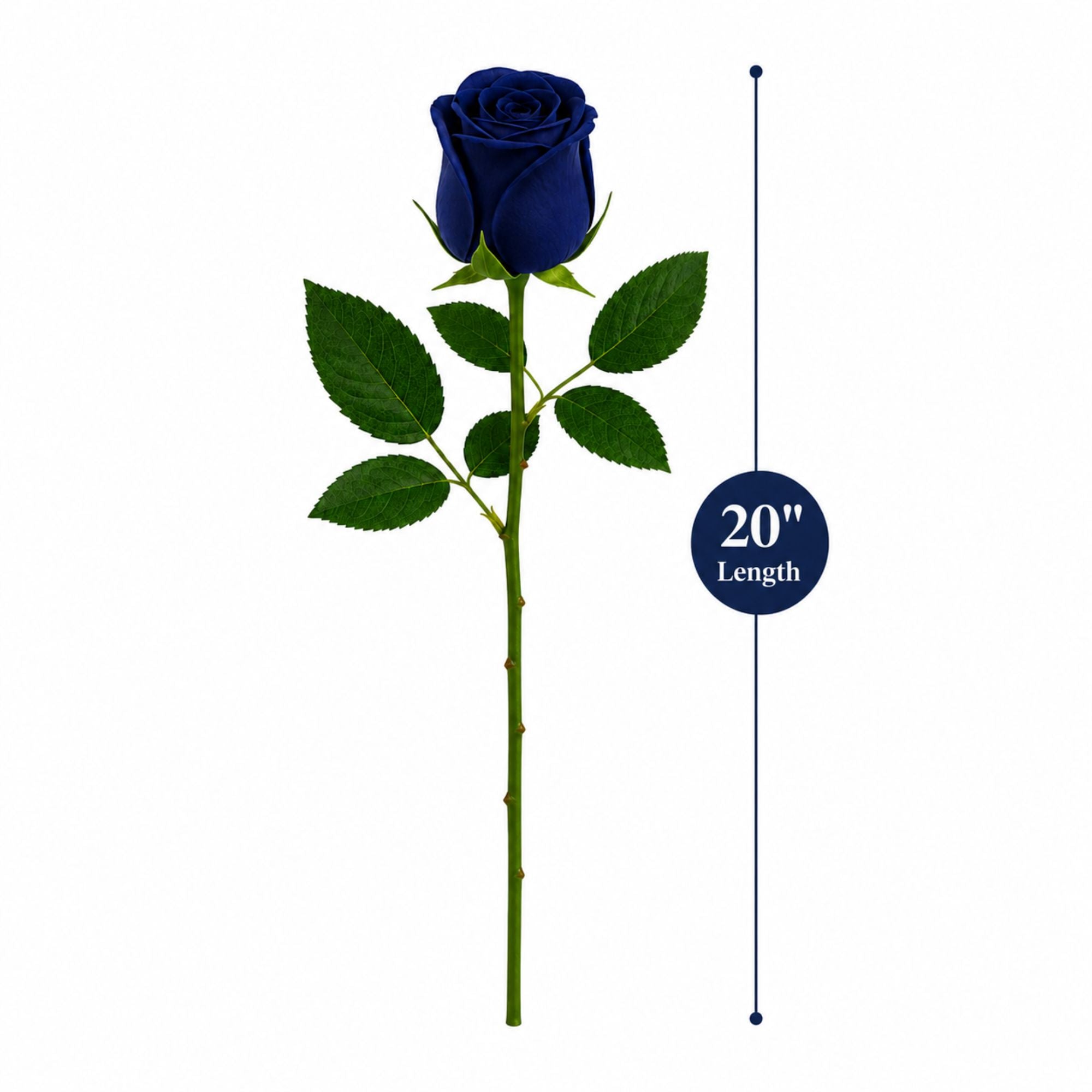 20" Artificial Silk Rose Stem for Home Wedding & Valentine’s Day Decor