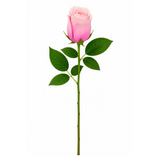20 Inch Artificial Rose Stem Silk Flower Decor