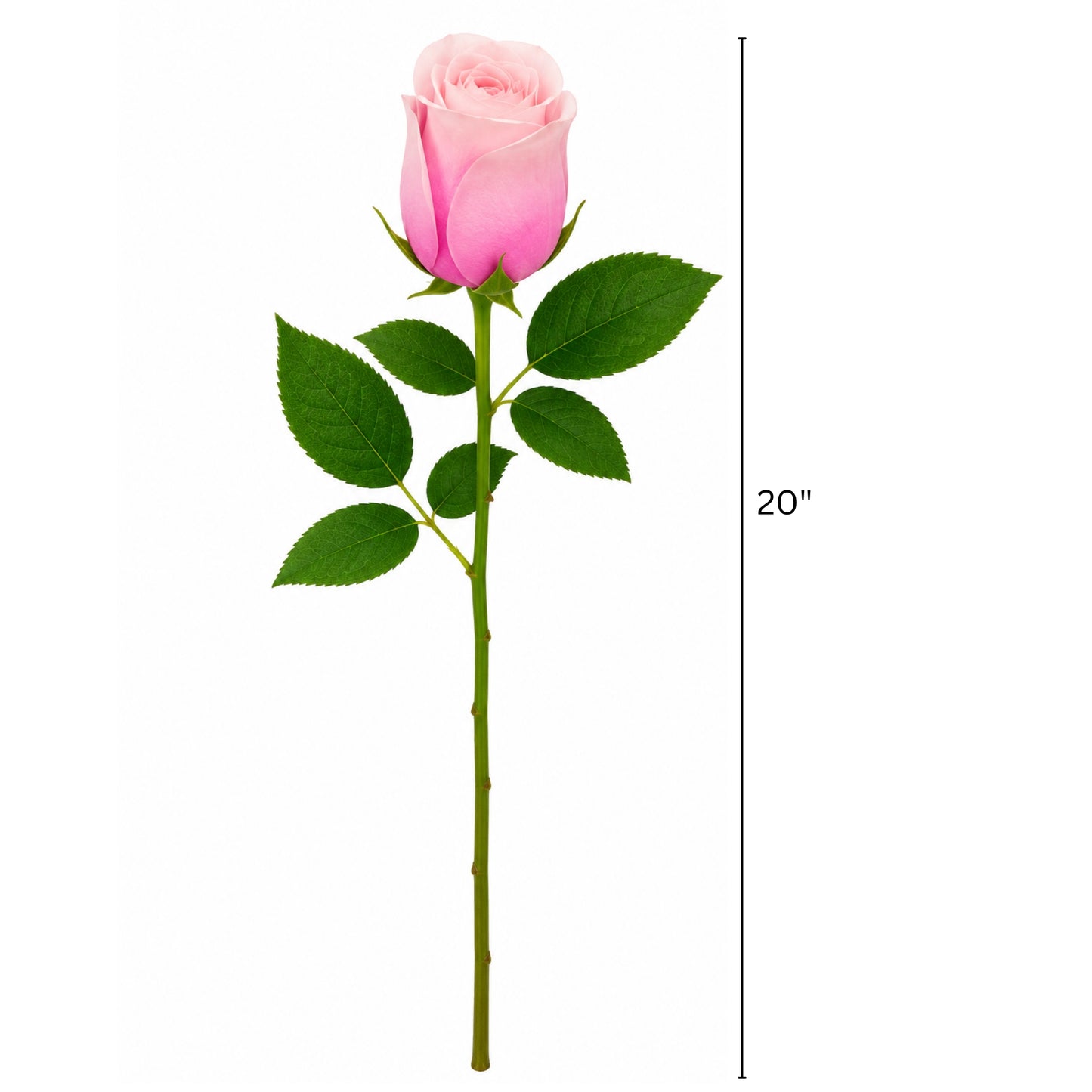 Faux Silk Rose Stem for Home Wedding Decoration