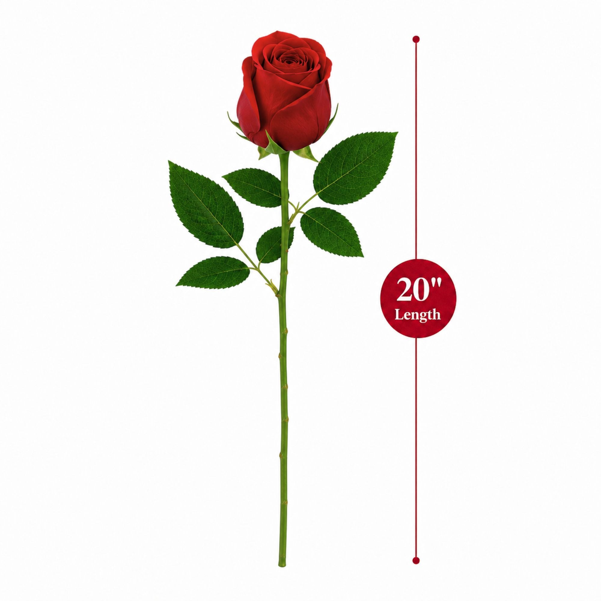 20" Artificial Silk Red Rose Stem for Wedding & Home Decor