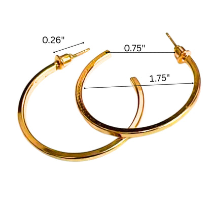 Gold hoop earrings with measurements on a white background