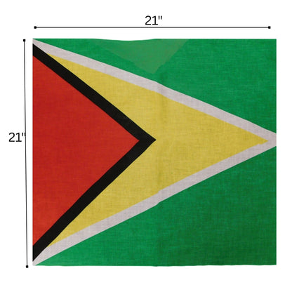 Flag of Guyana with dimensions on a white background