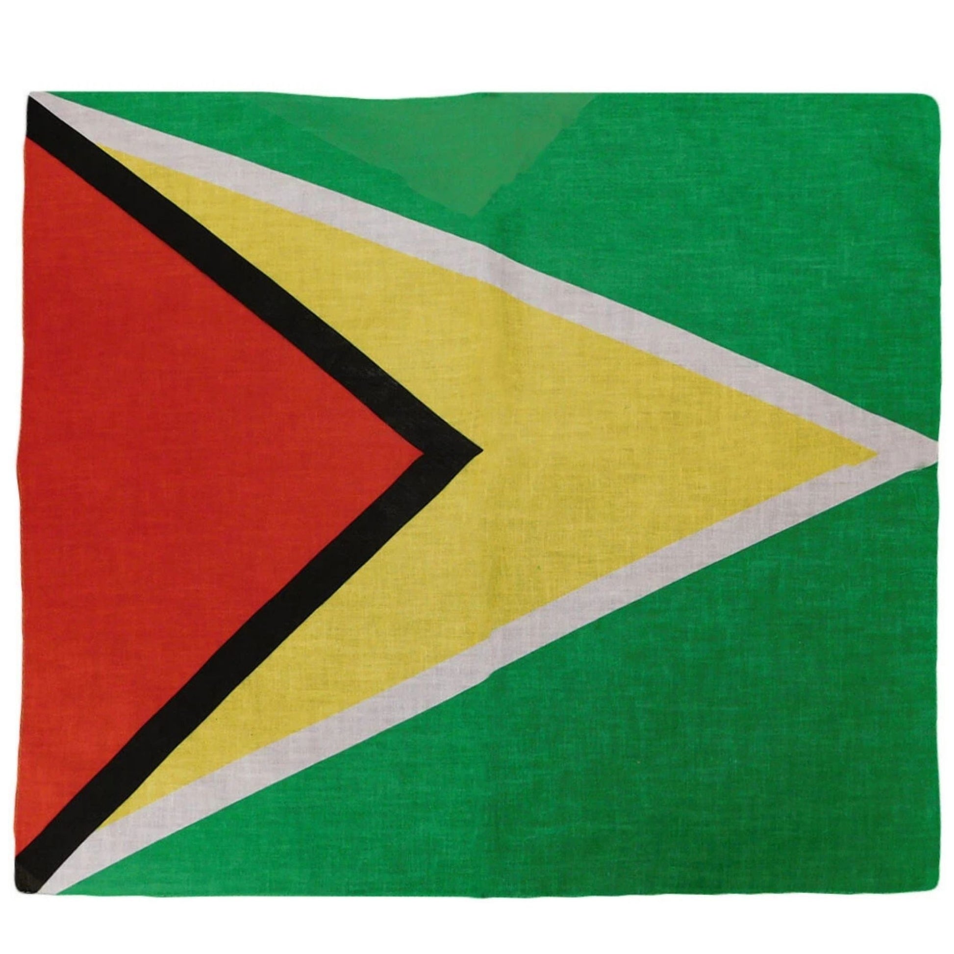 Flag of Guyana with red, yellow, and green colors on a white background
