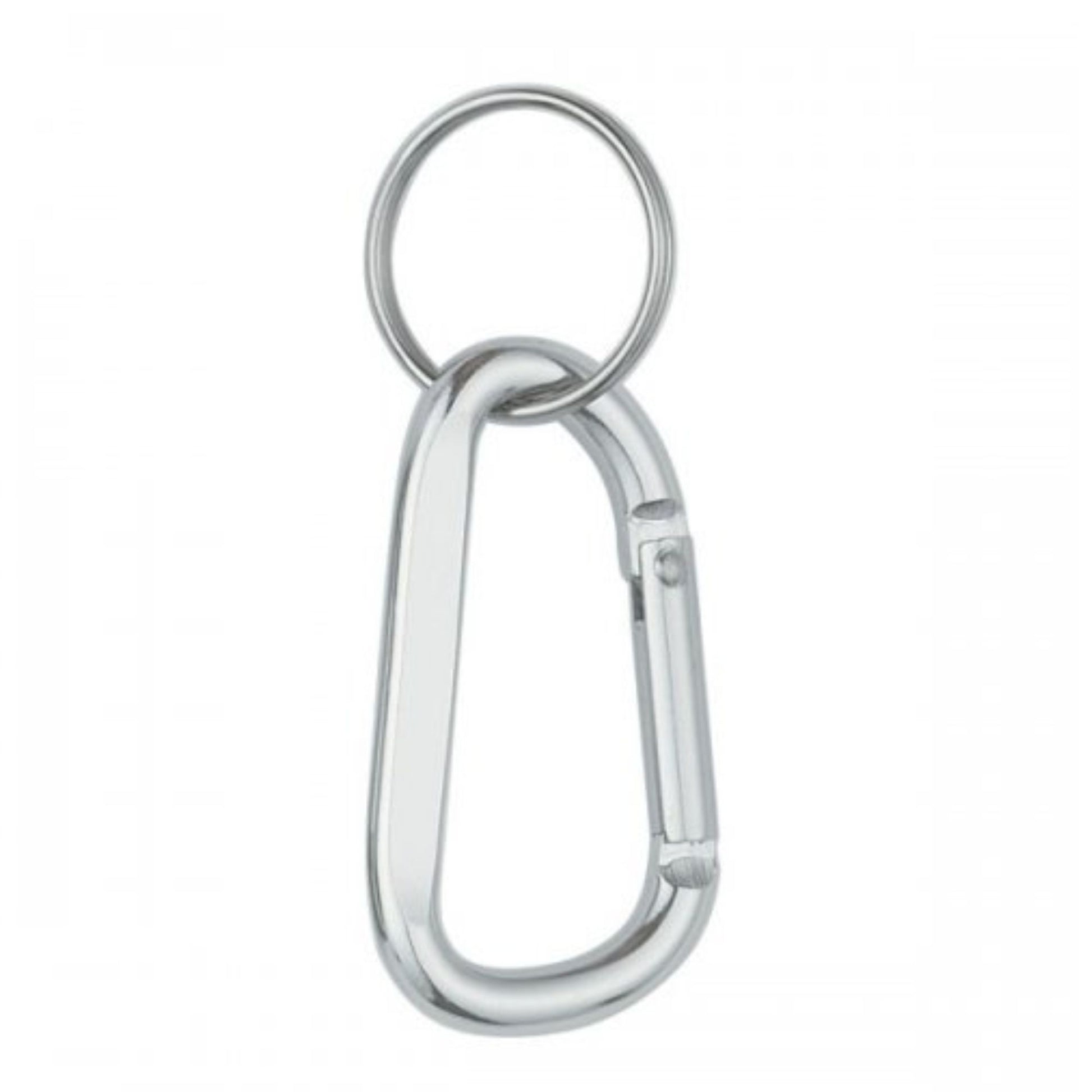 Silver carabiner keychain on a white background