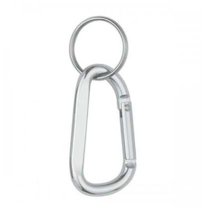 Silver carabiner keychain on a white background
