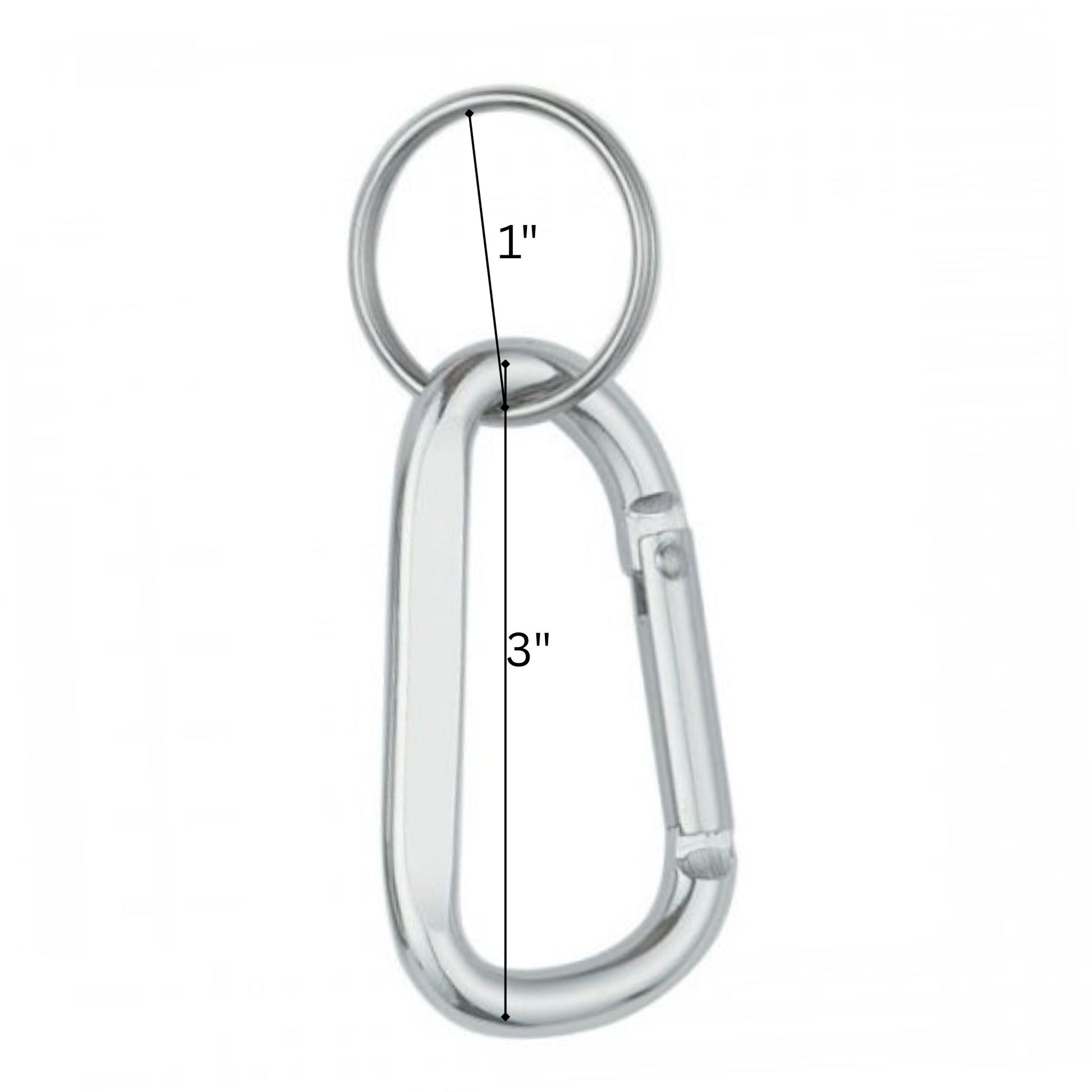 Metal carabiner with measurements on a white background