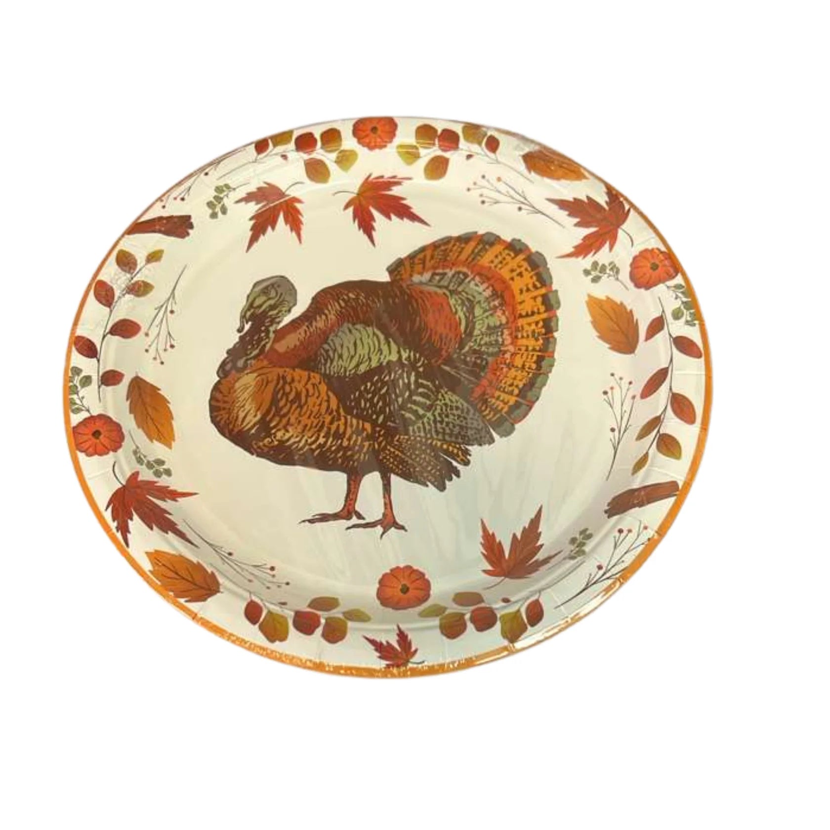 Decorative plate with a turkey and autumn leaves design on a white background