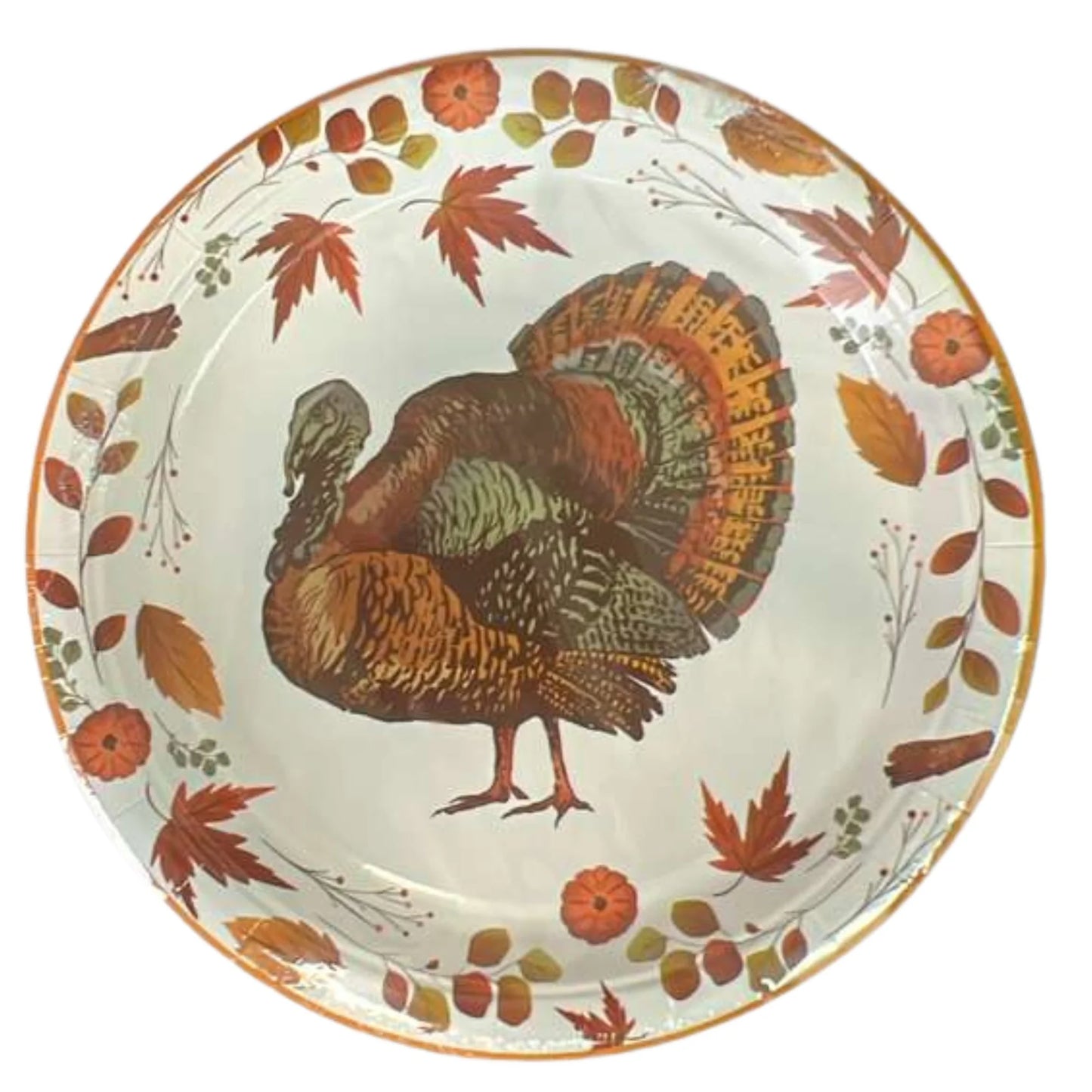 Decorative plate with a turkey and autumn leaves design on a white background