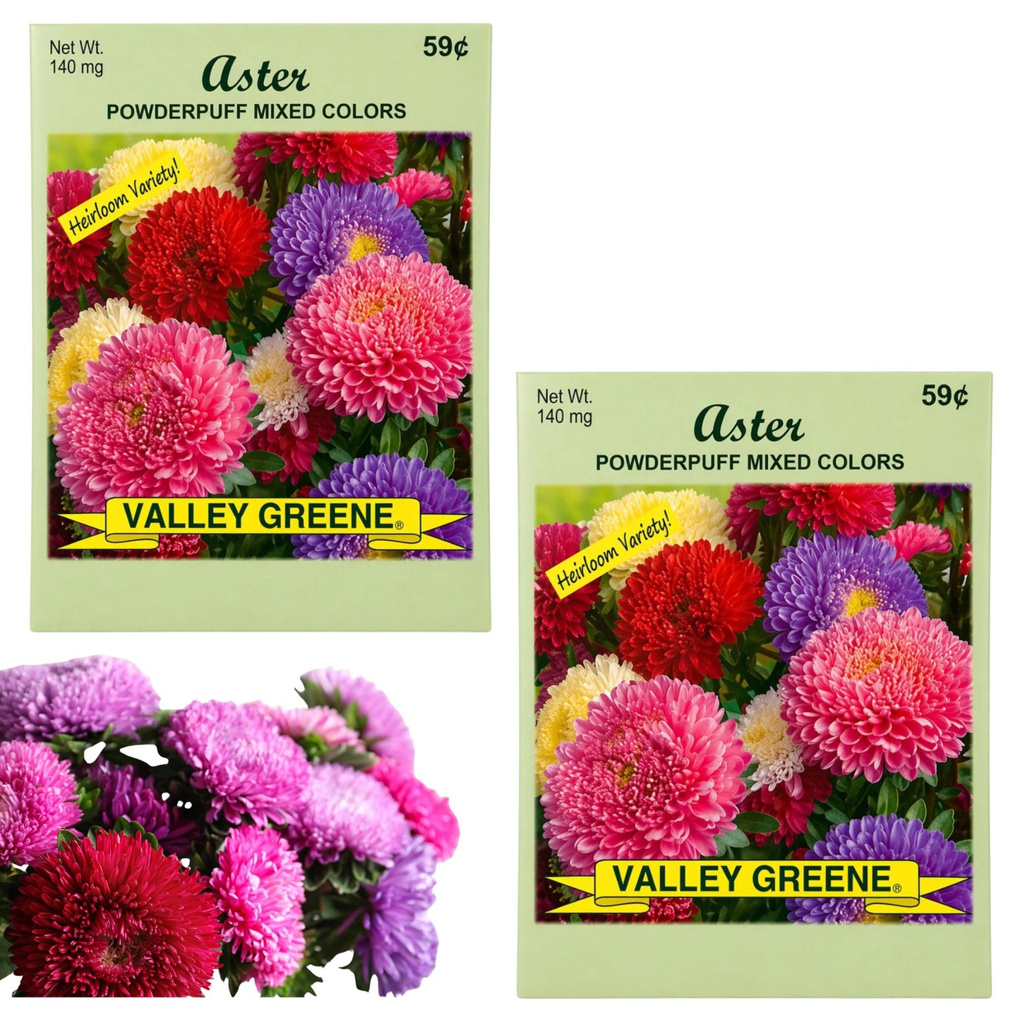 140mg Aster Powderpuff Seeds Heirloom Easy Grow Flowers:2 Pack main product image