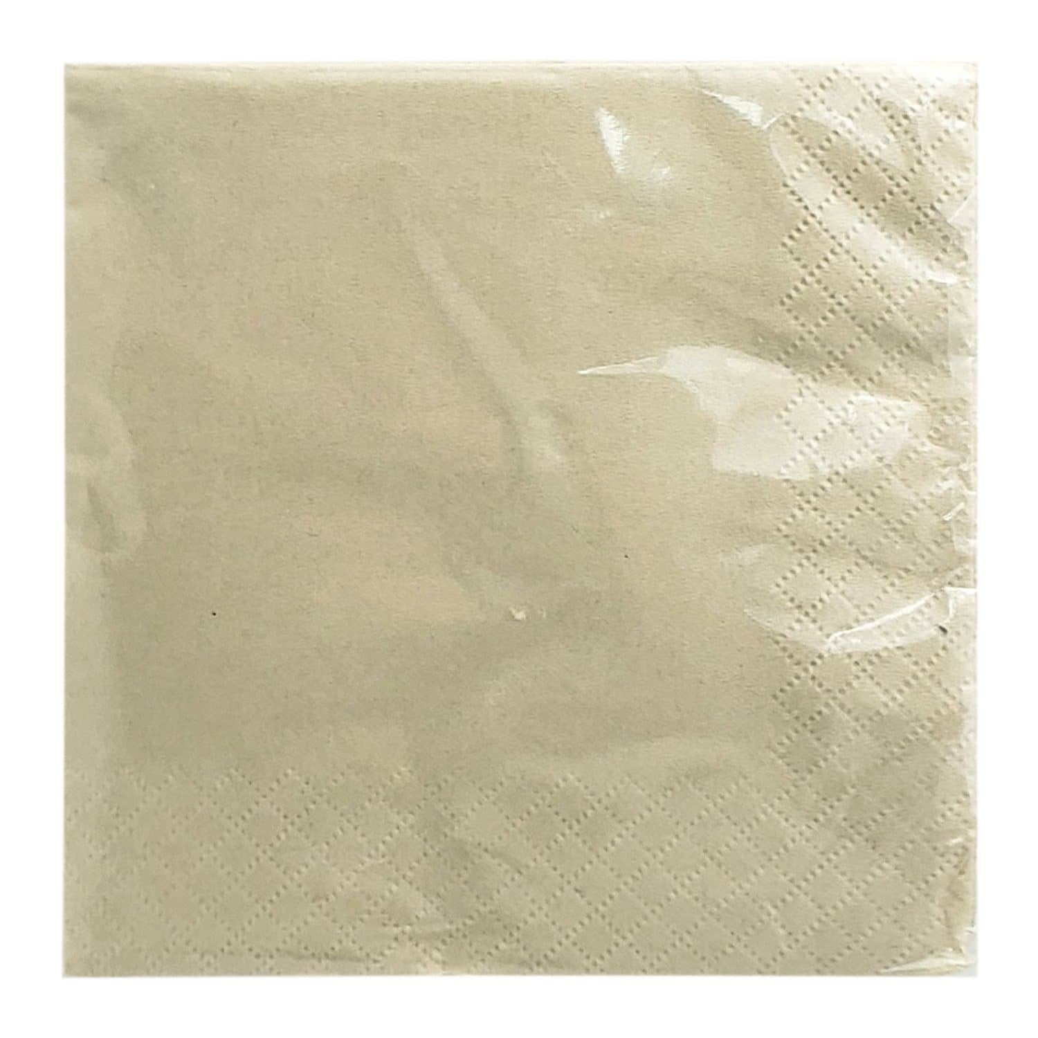 BAMBOO DISPOSABLE BEVERAGE NAPKINS 2 PLY: 40 Pack Party Tableware, Event Catalog,Napkins size and feature image