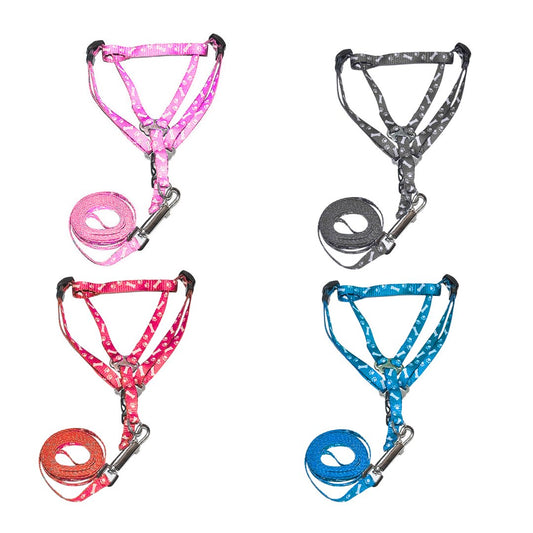 Bone Paw Printing Dog Harness with Leash for Puppies, Dogs & Cats