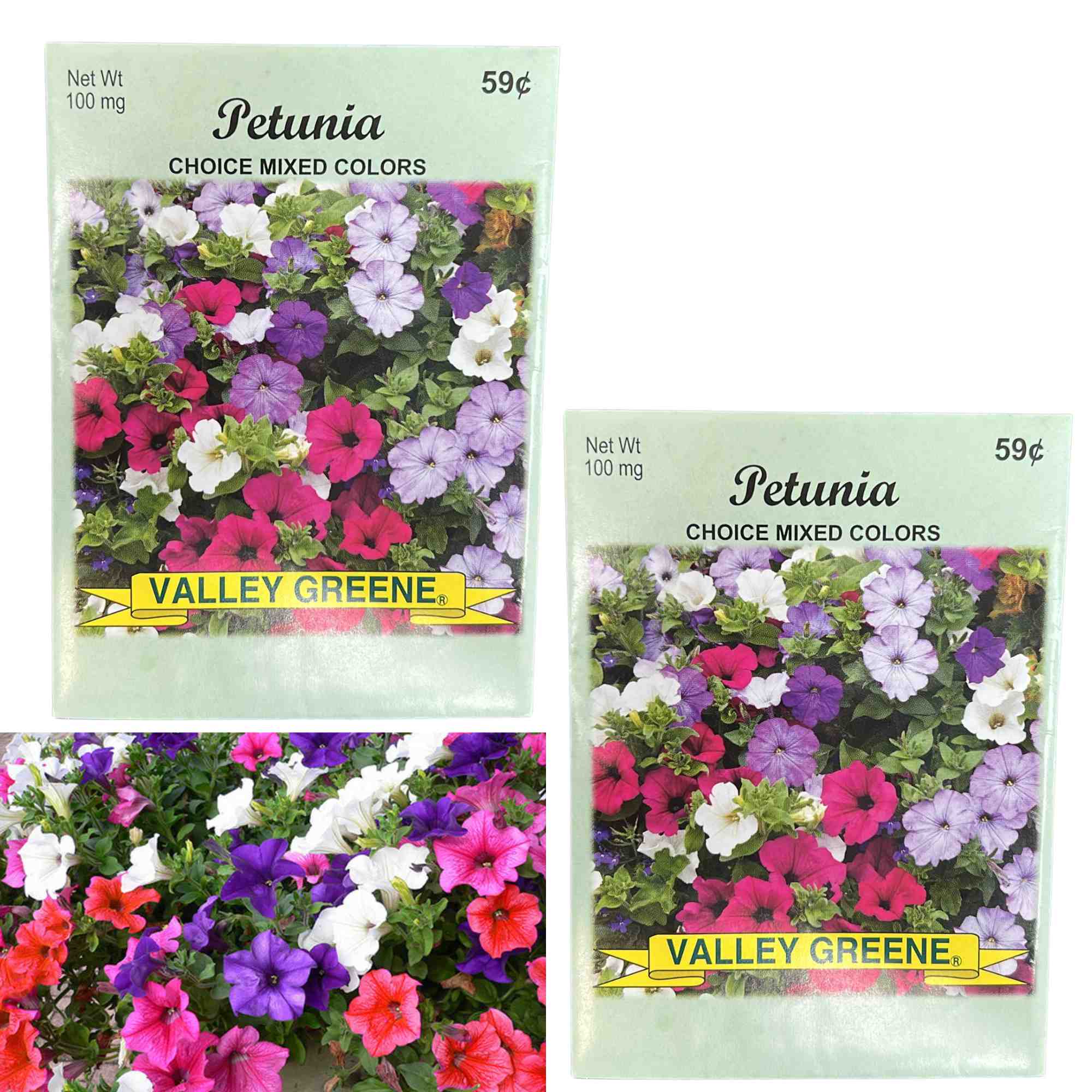 Valley Greene 100mg Petunia Seeds – Choice Mixed Colors: 2 Pack main product image
