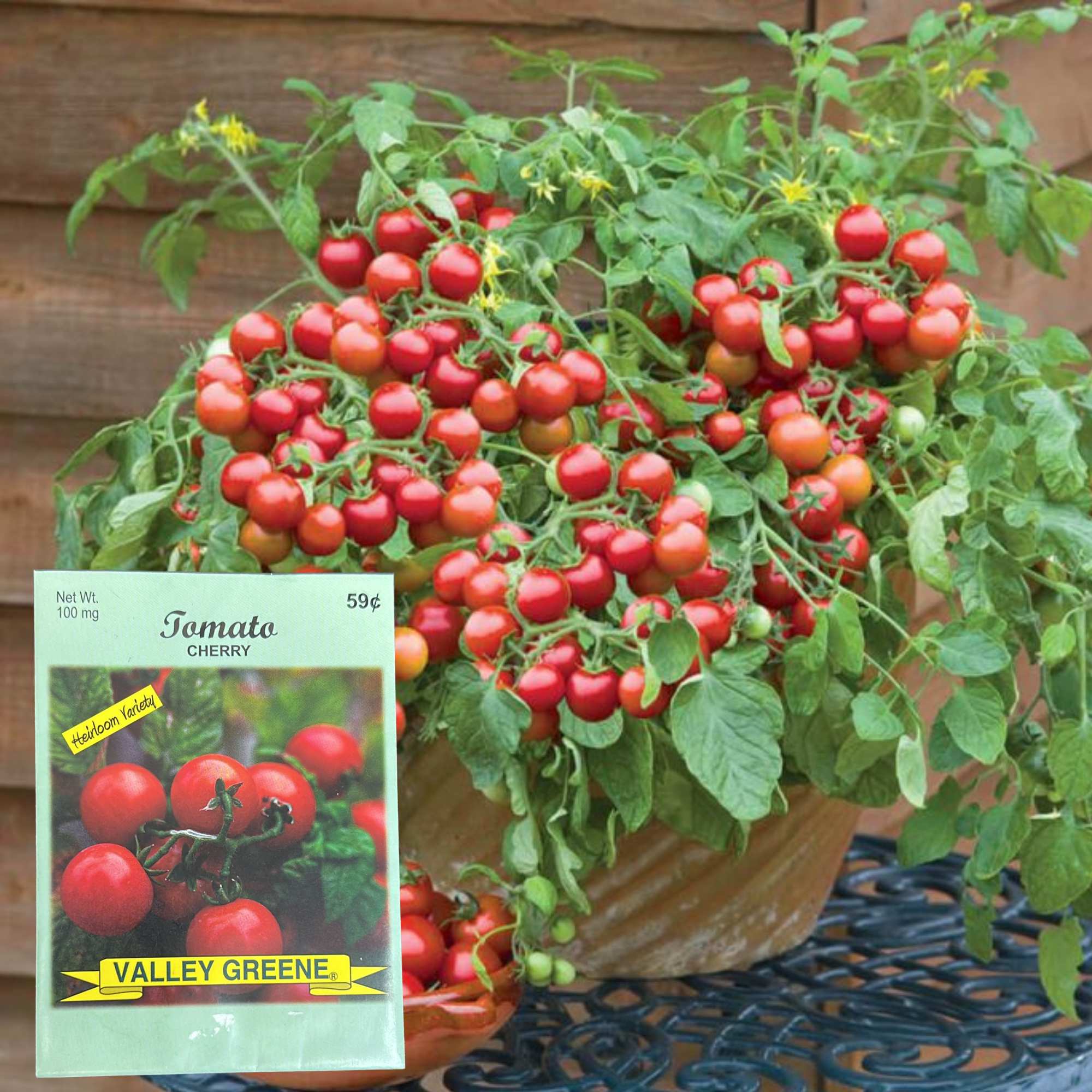 Valley Greene 100mg Cherry Tomato Seeds : 2 Pack product detail image