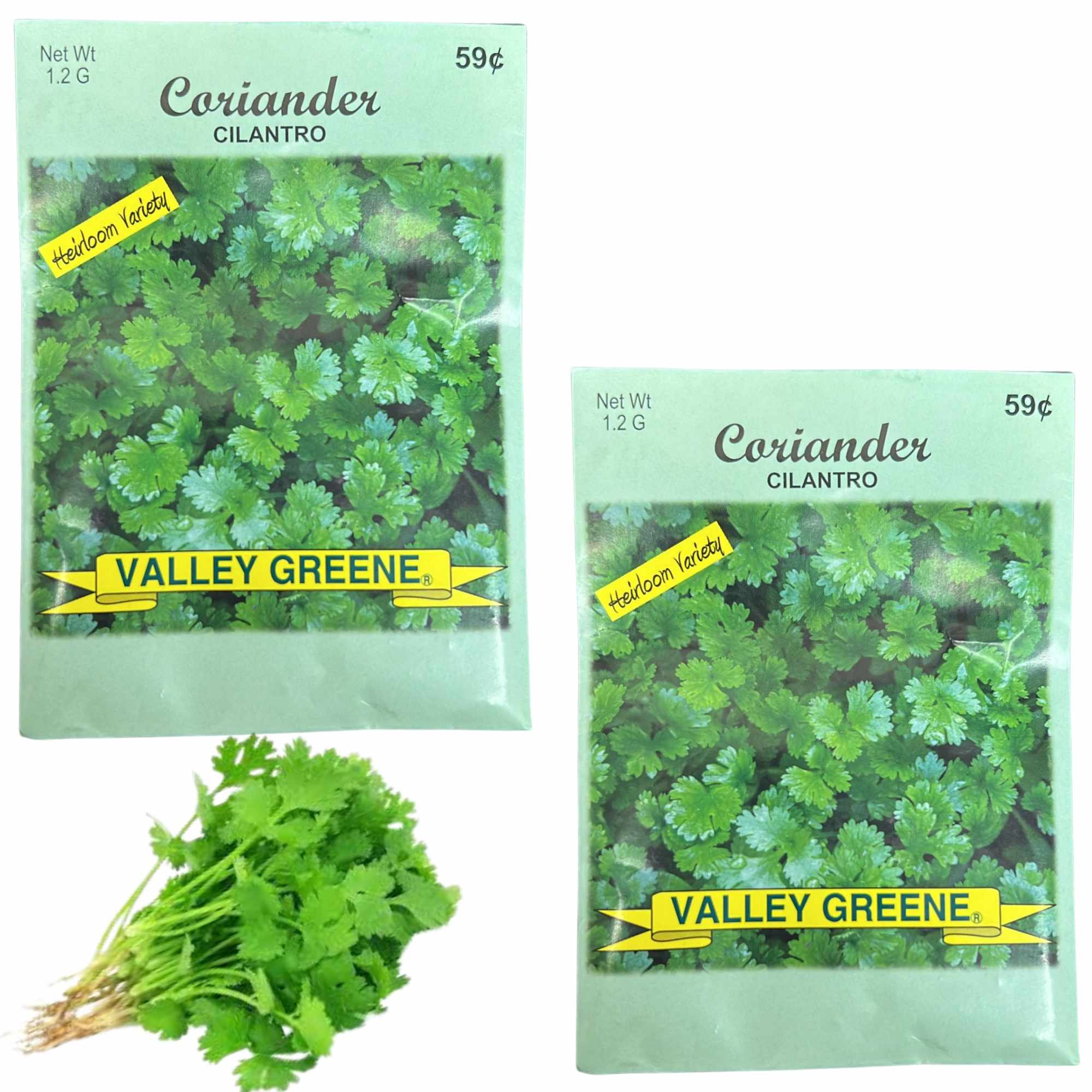 Valley Greene 1.2g Coriander Seeds – Cilantro: 2 Pack main product image