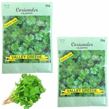 Valley Greene 1.2g Coriander Seeds – Cilantro