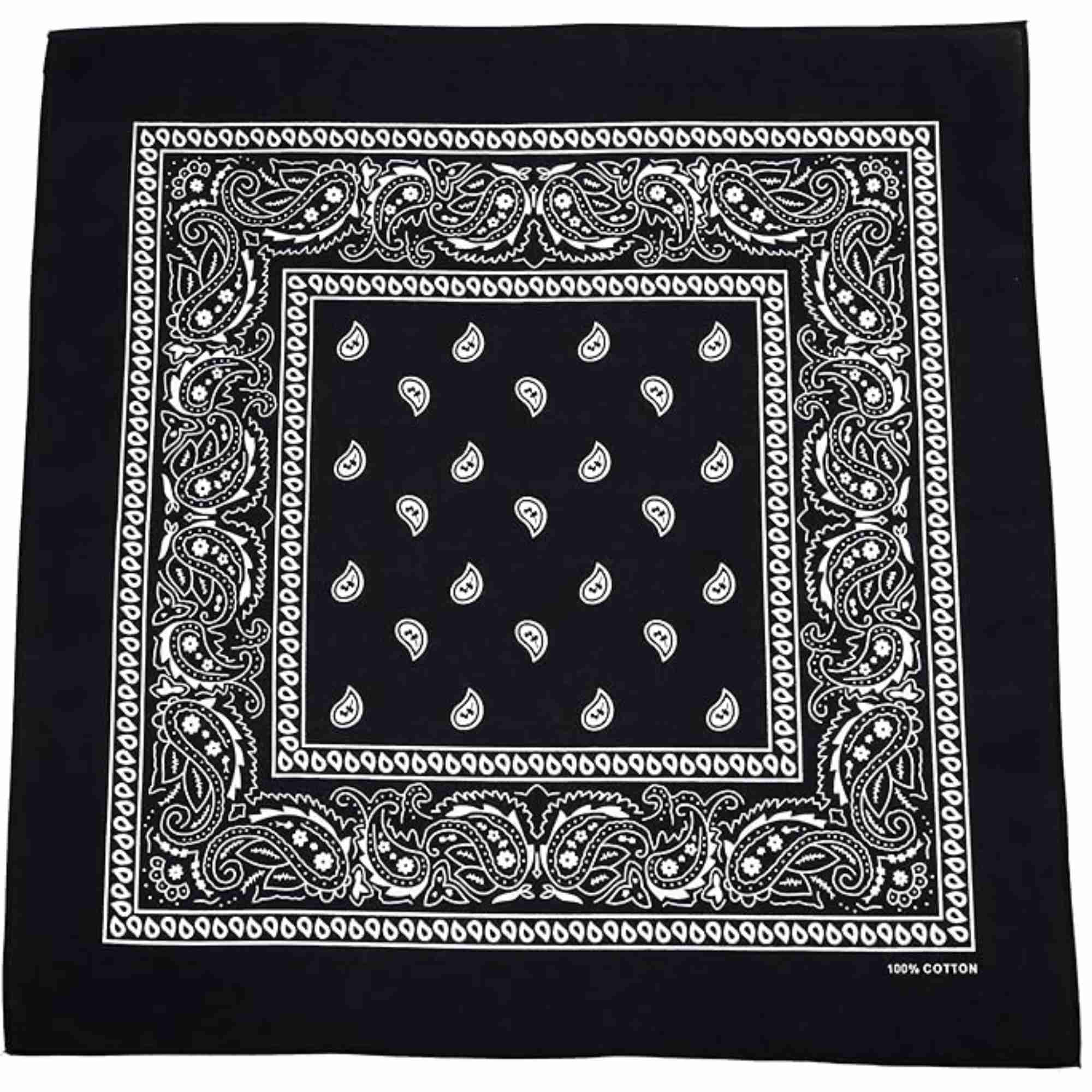 Unisex Paisley Pattern 100% Cotton Bandana Head or Neck Scarf: 1 Pack Bandana, Novelty & Souvenir Catalogs & Headties
