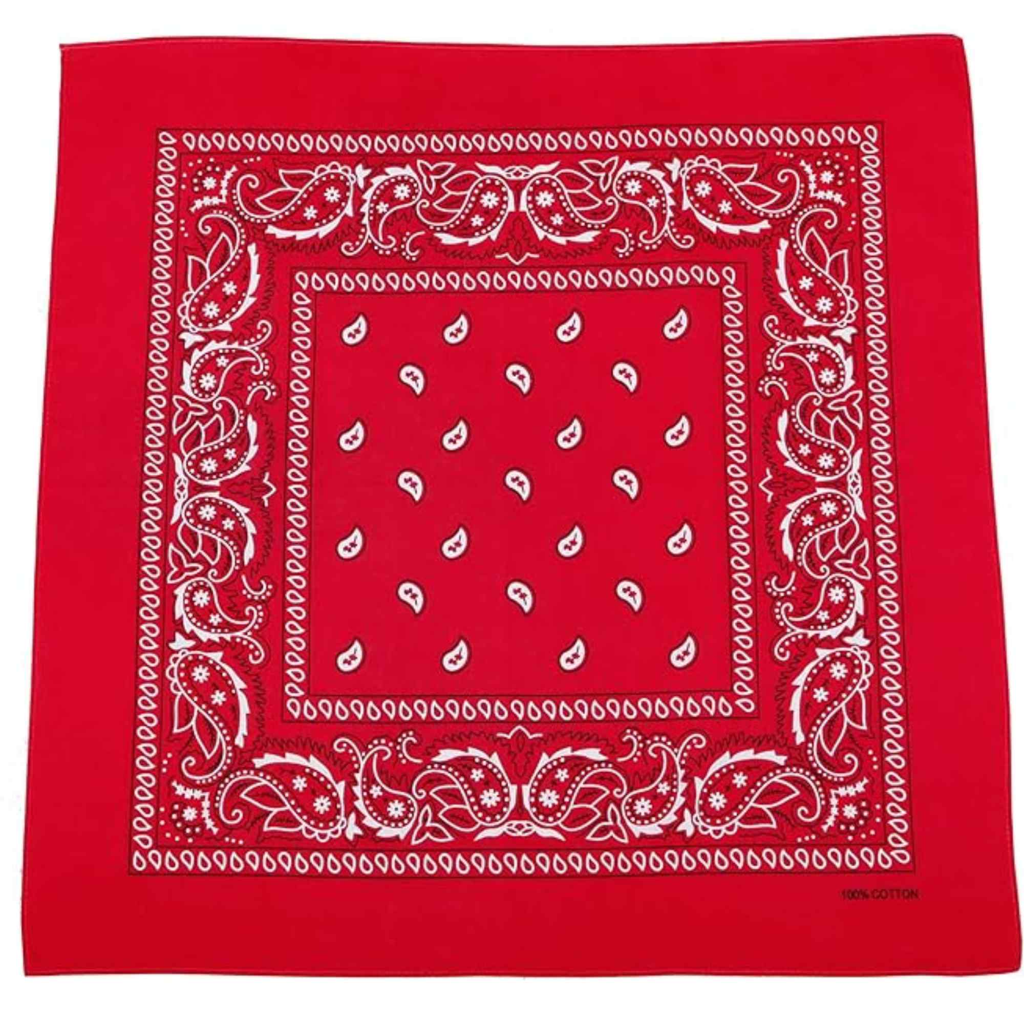 Unisex Paisley Pattern 100% Cotton Bandana Head or Neck Scarf: 1 Pack Bandana, Novelty & Souvenir Catalogs & Headties