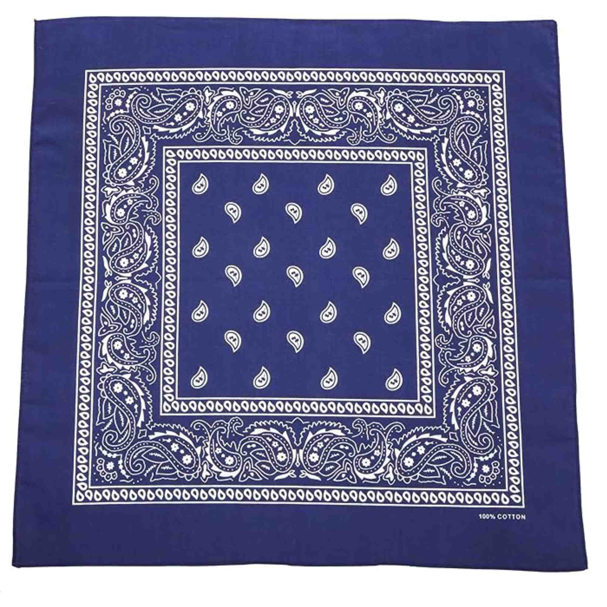 Unisex Paisley Pattern 100% Cotton Bandana Head or Neck Scarf: 1 Pack Bandana, Novelty & Souvenir Catalogs & Headties