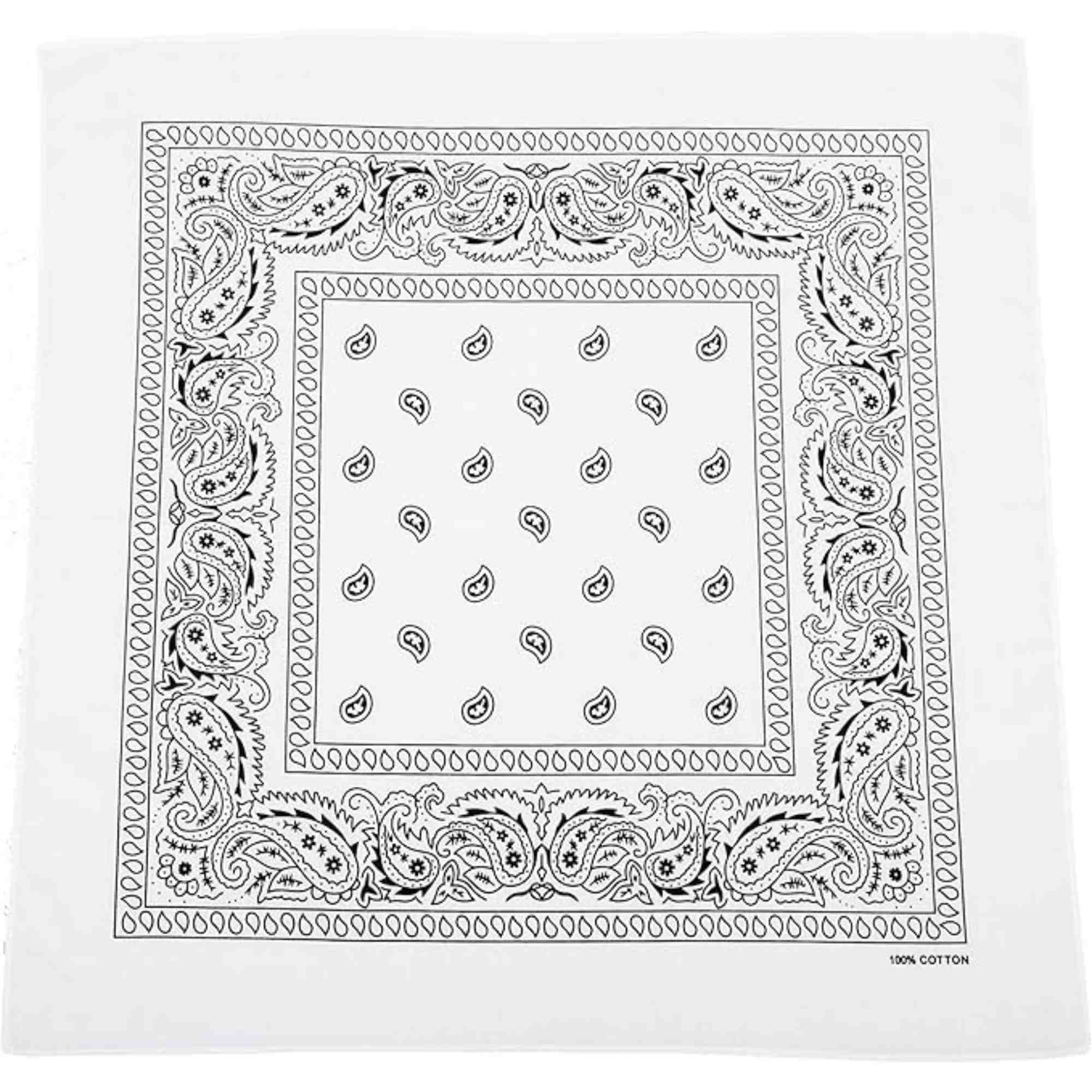 Unisex Paisley Pattern 100% Cotton Bandana Head or Neck Scarf: 1 Pack Bandana, Novelty & Souvenir Catalogs & Headties