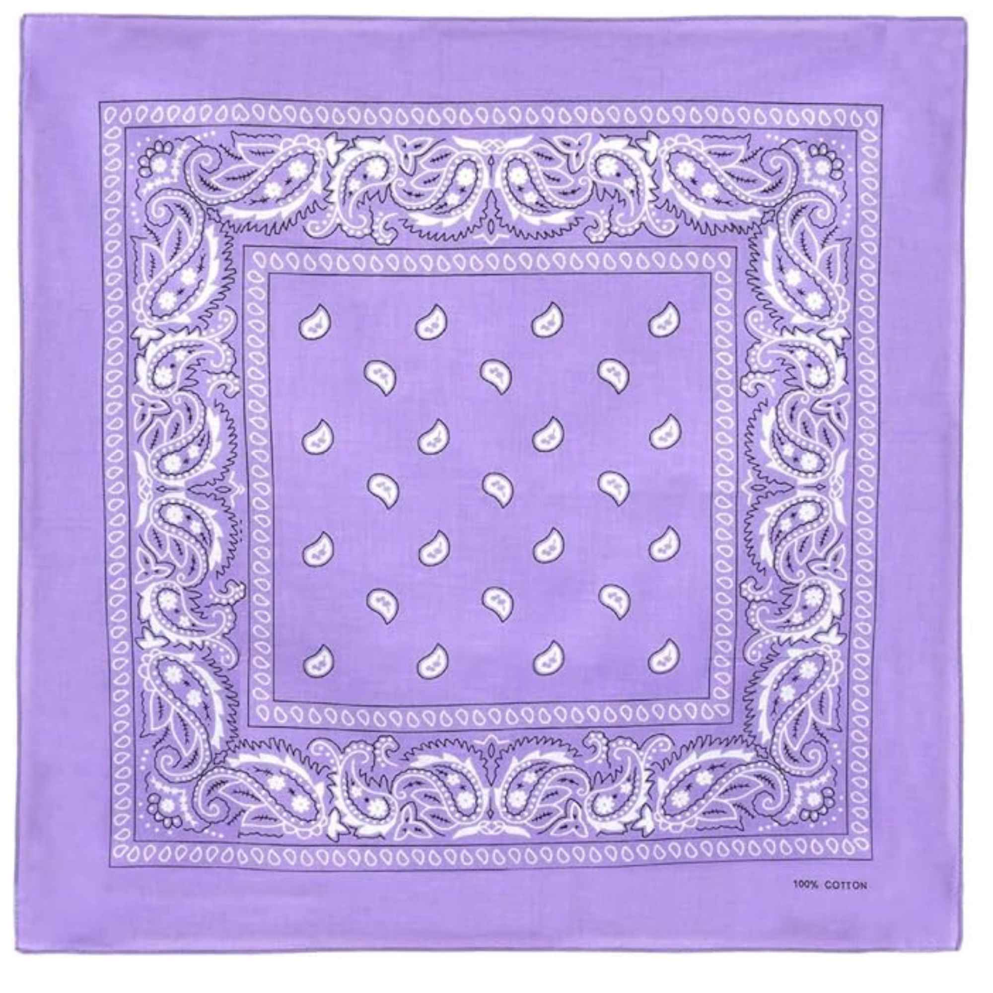 Unisex Paisley Pattern 100% Cotton Bandana Head or Neck Scarf: 1 Pack Bandana, Novelty & Souvenir Catalogs & Headties