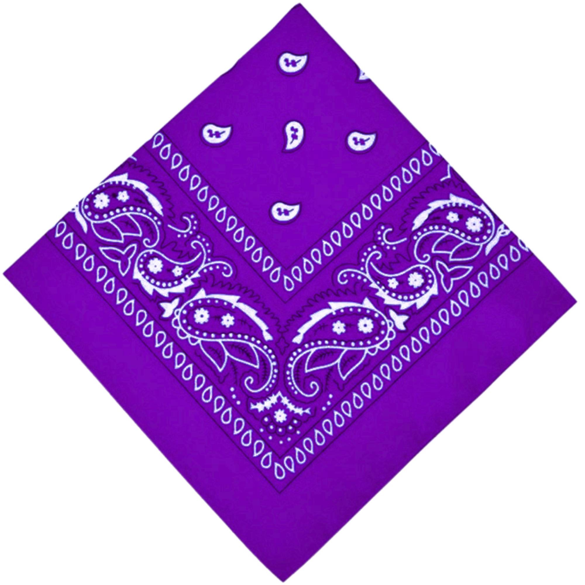 Unisex Paisley Pattern 100% Cotton Bandana Head or Neck Scarf: 1 Pack Bandana, Novelty & Souvenir Catalogs & Headties size