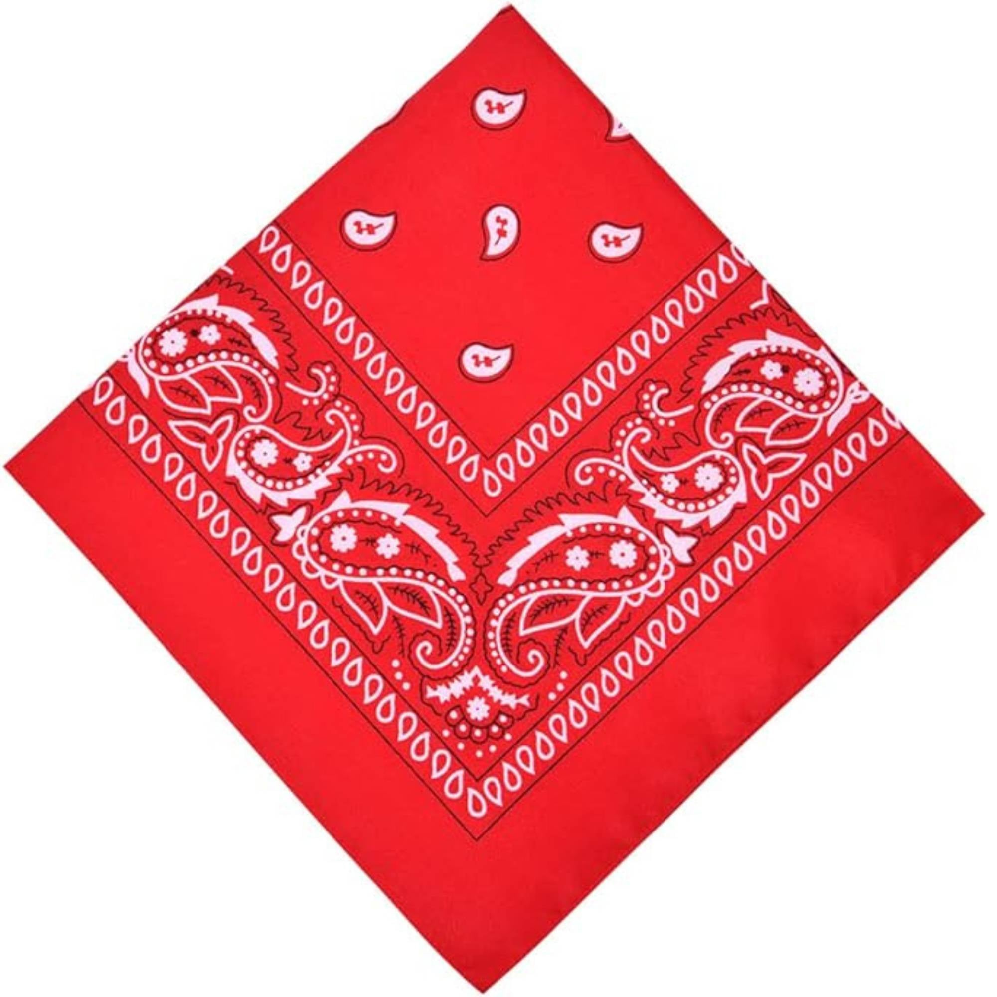 Unisex Paisley Pattern 100% Cotton Bandana Head or Neck Scarf: 1 Pack Bandana, Novelty & Souvenir Catalogs & Headties