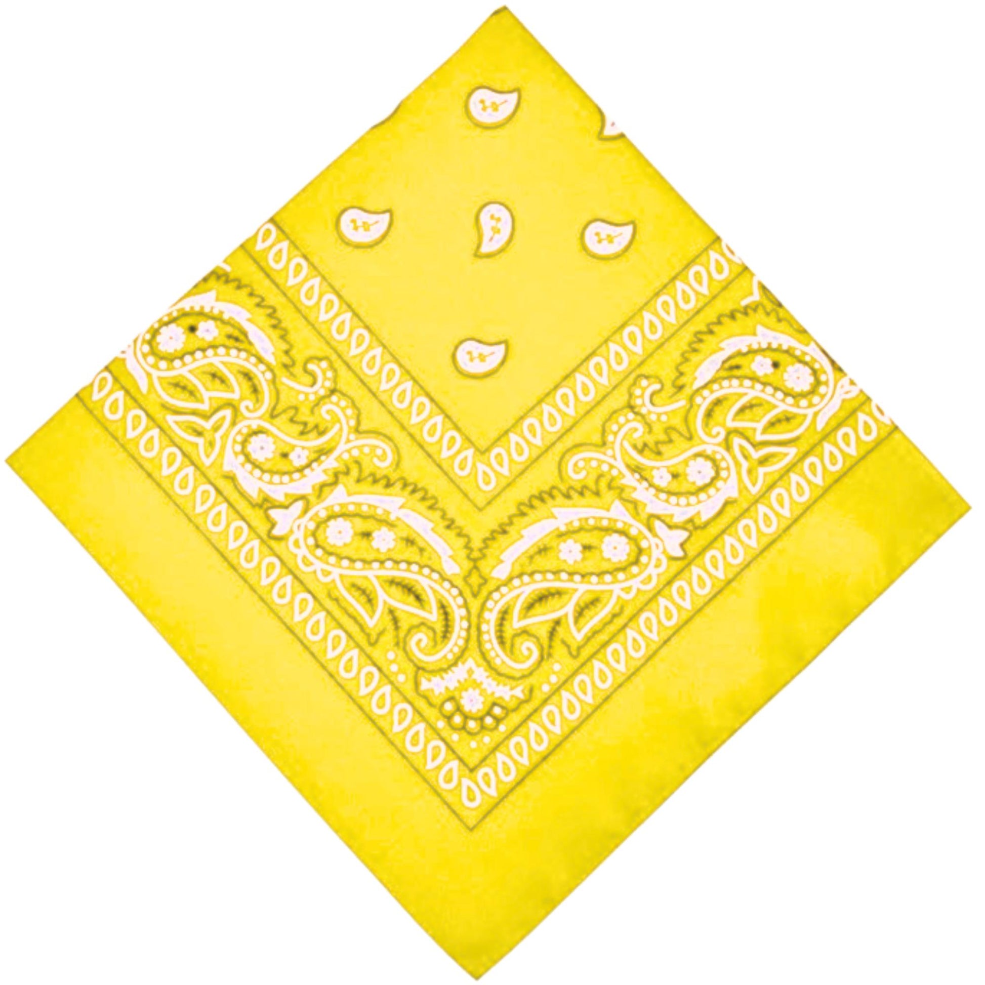 Unisex  Paisley Pattern 100% Cotton Bandana Head or Neck Scarf
