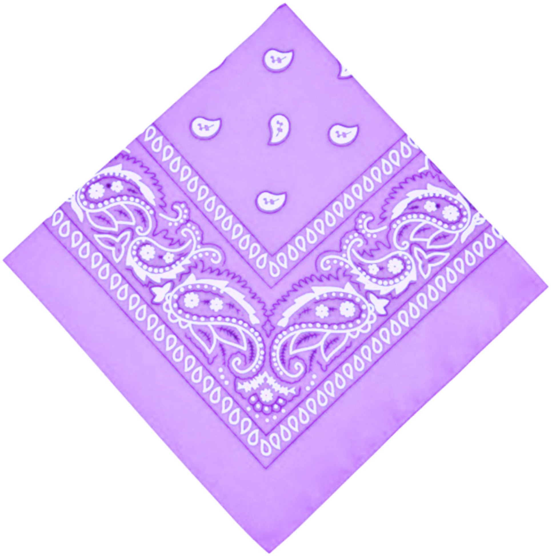 Unisex  Paisley Pattern 100% Cotton Bandana Head or Neck Scarf